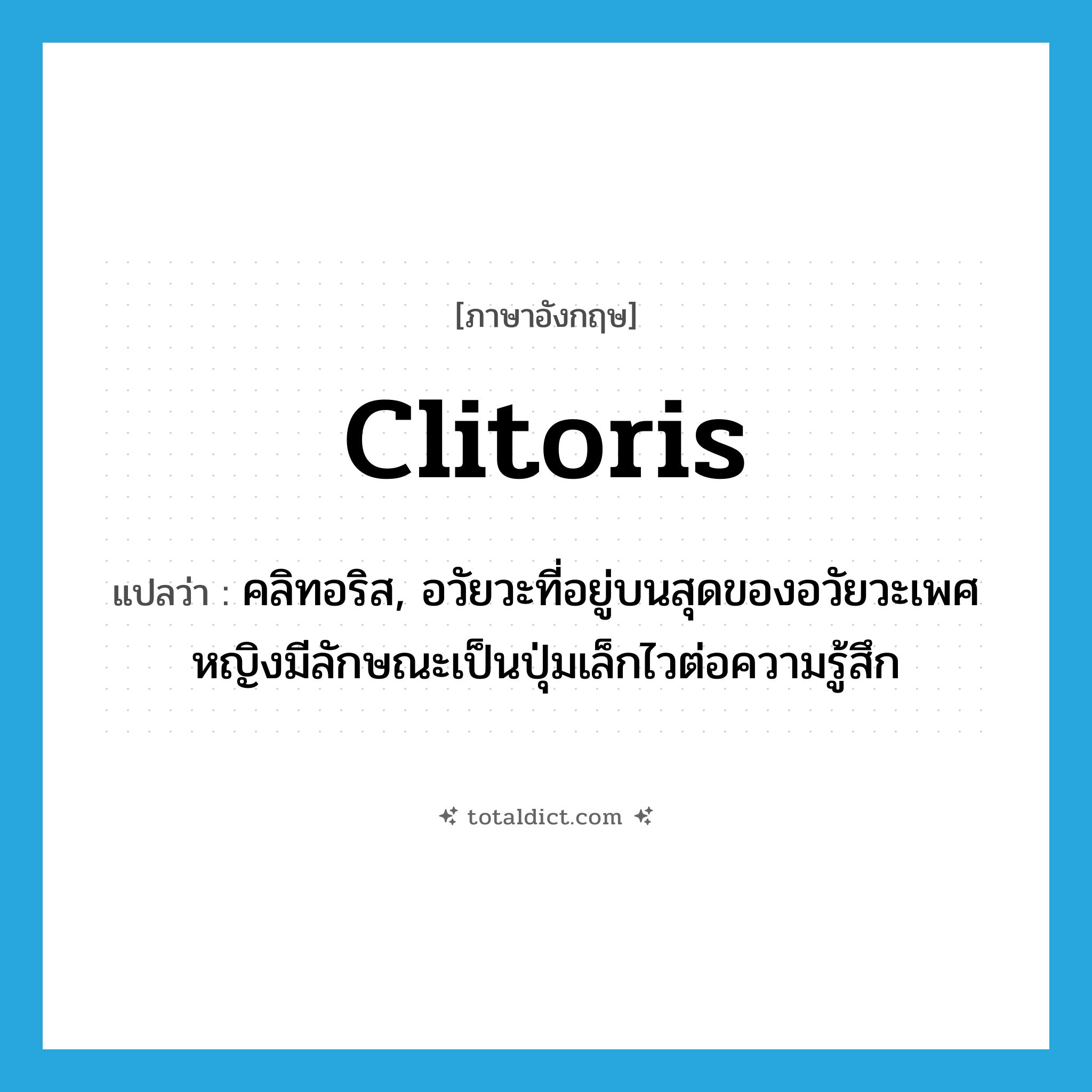 clitoris แปลว่า?, คำศัพท์ภาษาอังกฤษ clitoris แปลว่า คลิทอริส, อวัยวะที่อยู่บนสุดของอวัยวะเพศหญิงมีลักษณะเป็นปุ่มเล็กไวต่อความรู้สึก ประเภท N หมวด N