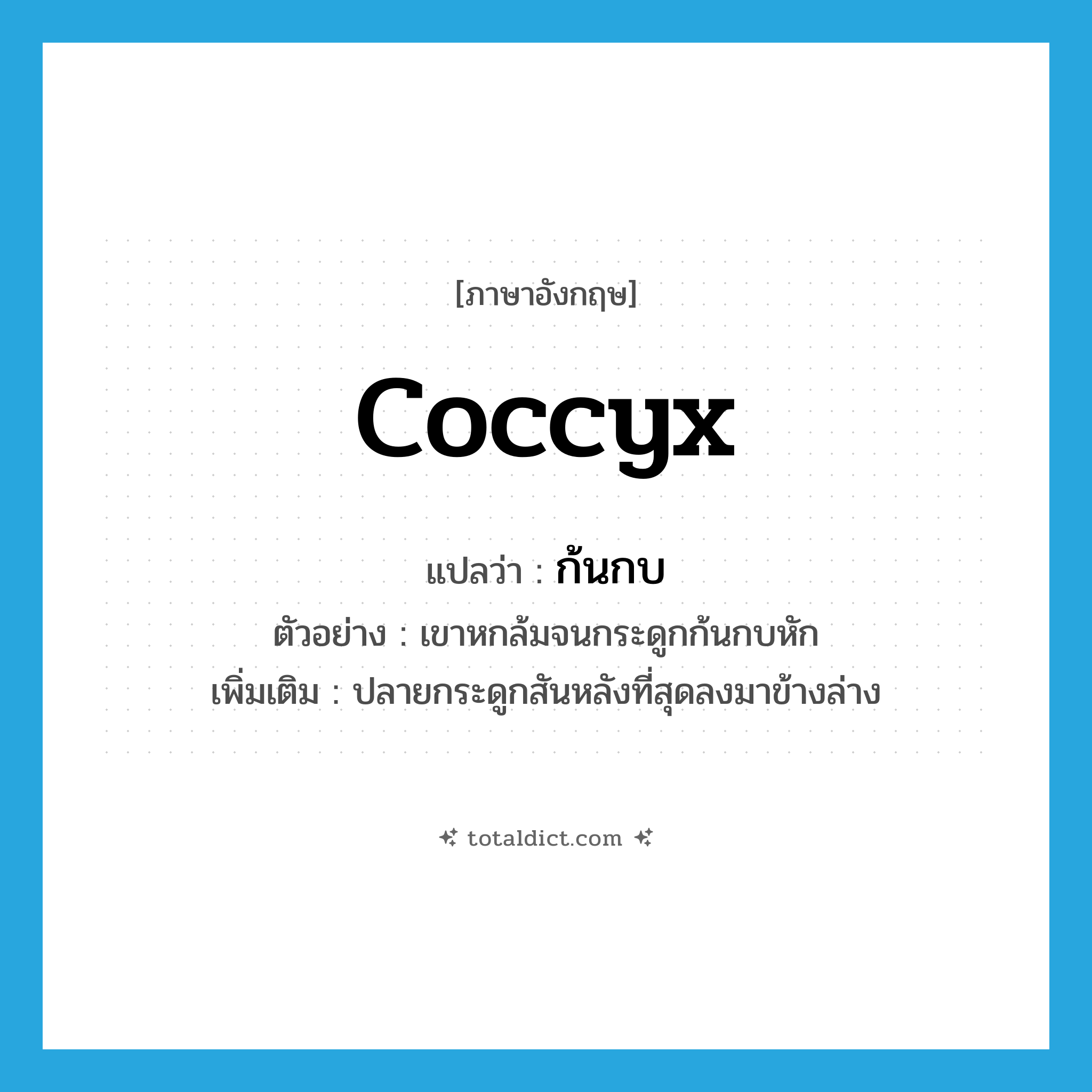 coccyx แปลว่า?, คำศัพท์ภาษาอังกฤษ coccyx แปลว่า ก้นกบ ประเภท N ตัวอย่าง เขาหกล้มจนกระดูกก้นกบหัก เพิ่มเติม ปลายกระดูกสันหลังที่สุดลงมาข้างล่าง หมวด N