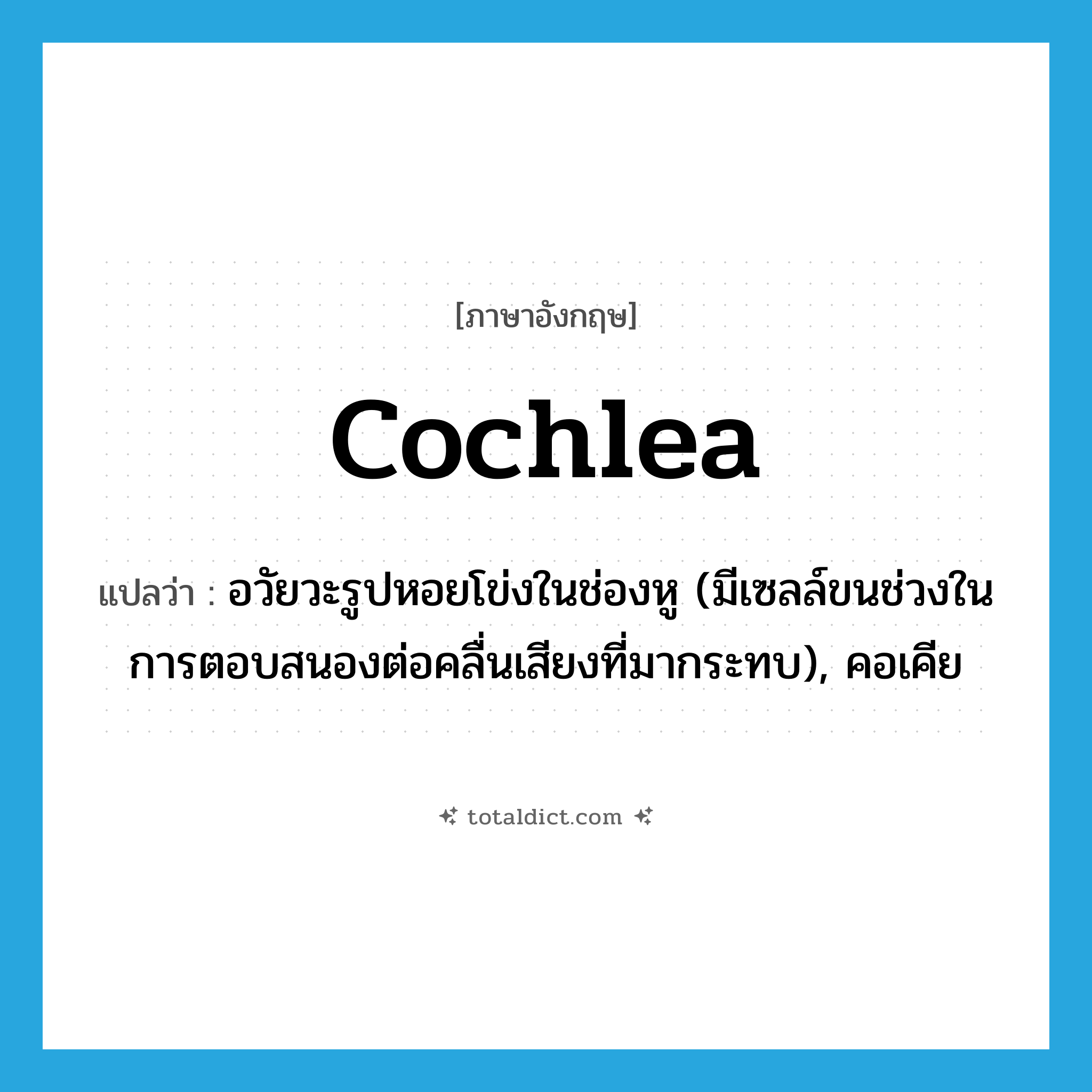 cochlea แปลว่า?, คำศัพท์ภาษาอังกฤษ cochlea แปลว่า อวัยวะรูปหอยโข่งในช่องหู (มีเซลล์ขนช่วงในการตอบสนองต่อคลื่นเสียงที่มากระทบ), คอเคีย ประเภท N หมวด N