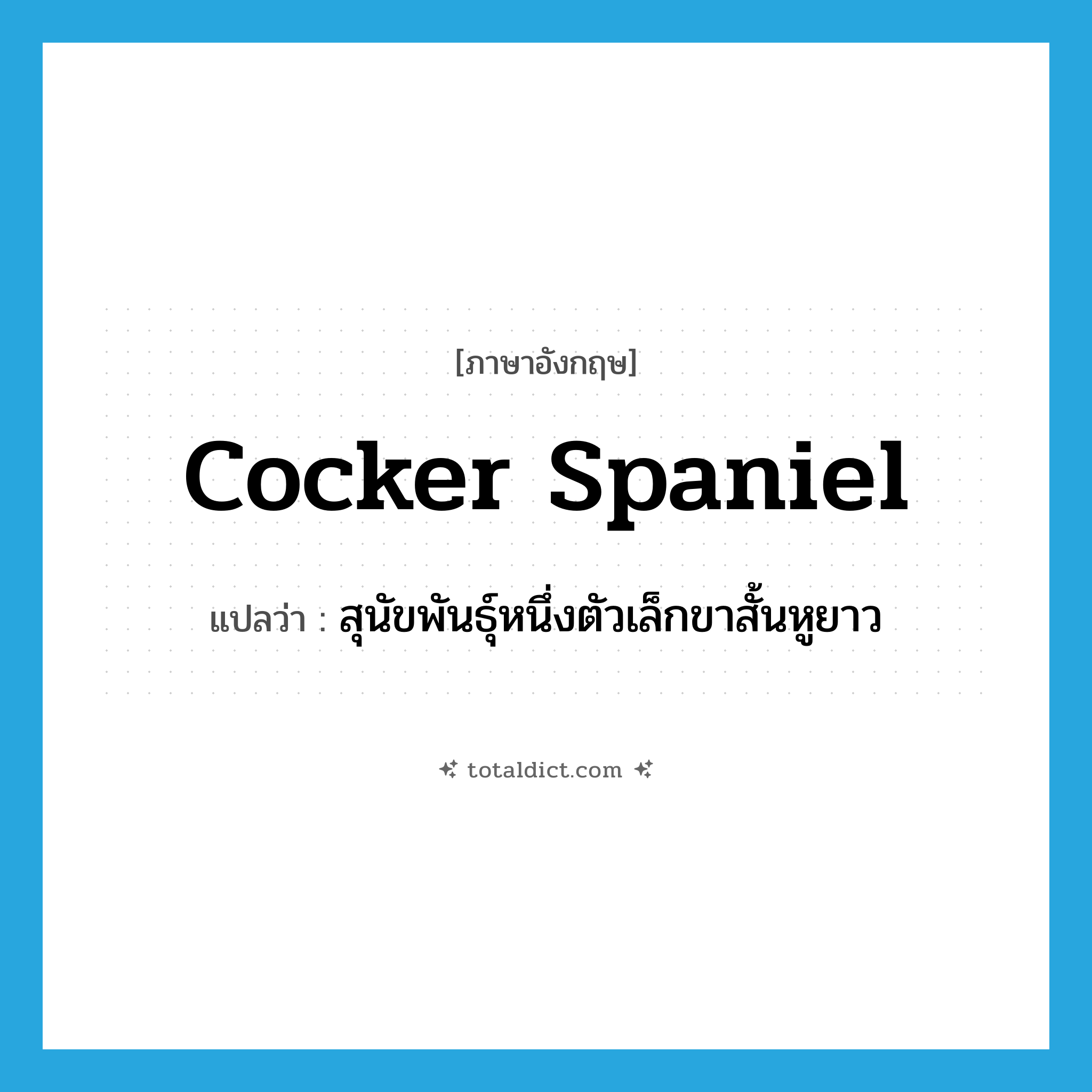 cocker spaniel แปลว่า?, คำศัพท์ภาษาอังกฤษ cocker spaniel แปลว่า สุนัขพันธุ์หนึ่งตัวเล็กขาสั้นหูยาว ประเภท N หมวด N