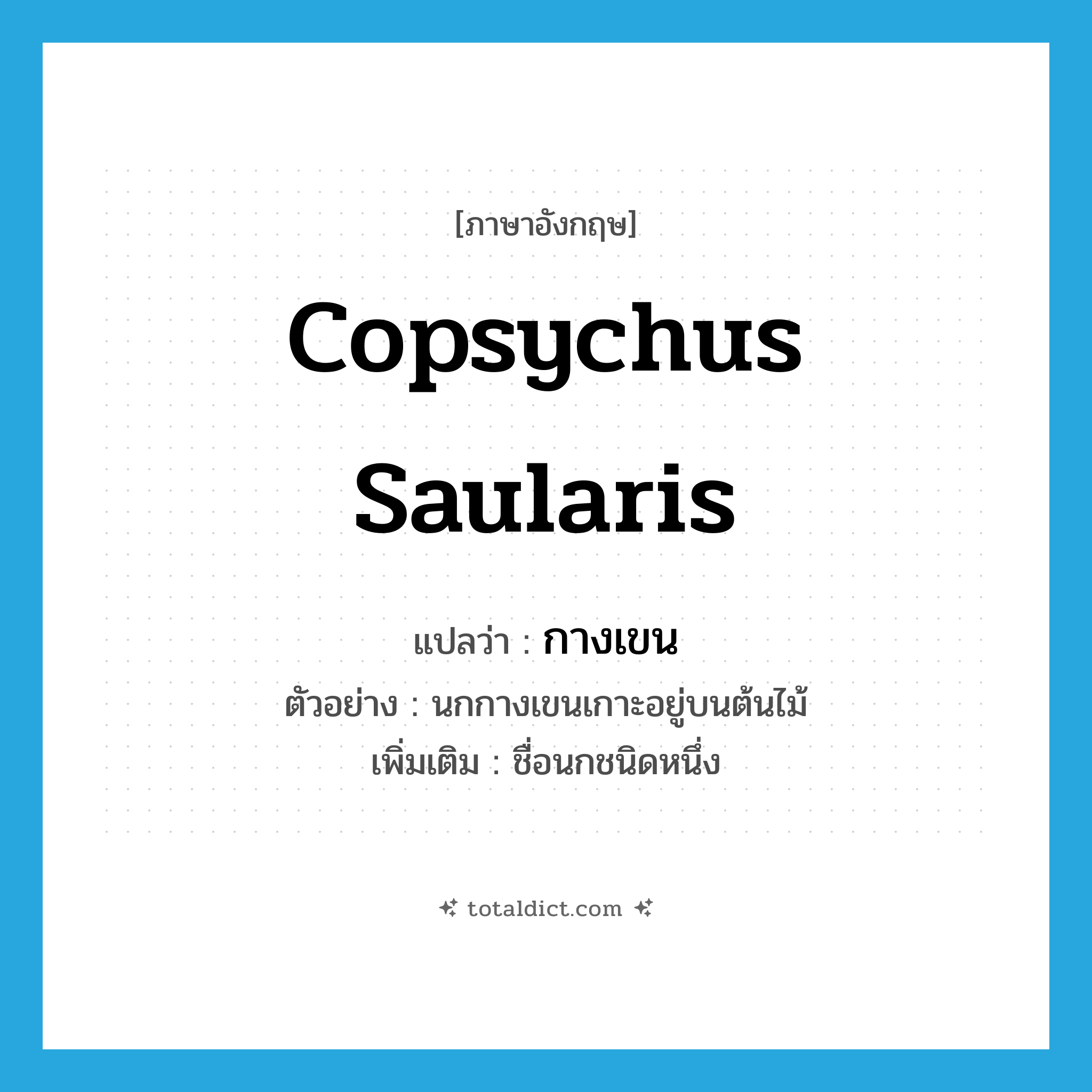 Copsychus saularis แปลว่า?, คำศัพท์ภาษาอังกฤษ Copsychus saularis แปลว่า กางเขน ประเภท N ตัวอย่าง นกกางเขนเกาะอยู่บนต้นไม้ เพิ่มเติม ชื่อนกชนิดหนึ่ง หมวด N