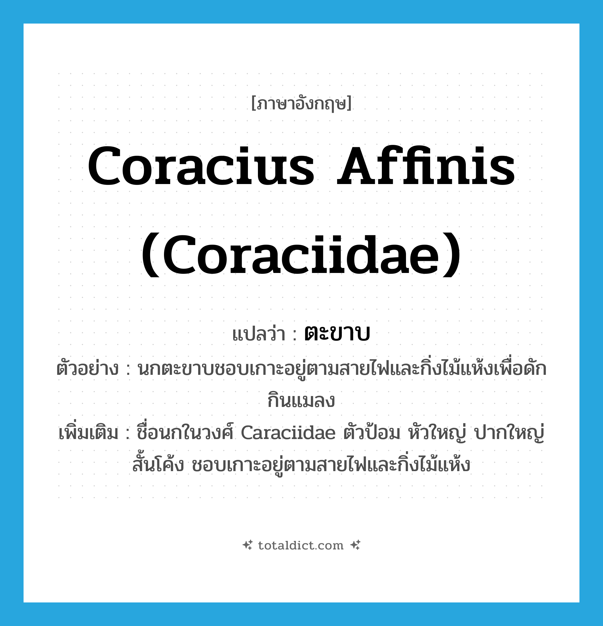 ตะขาบ ภาษาอังกฤษ?, คำศัพท์ภาษาอังกฤษ ตะขาบ แปลว่า Coracius affinis (Coraciidae) ประเภท N ตัวอย่าง นกตะขาบชอบเกาะอยู่ตามสายไฟและกิ่งไม้แห้งเพื่อดักกินแมลง เพิ่มเติม ชื่อนกในวงศ์ Caraciidae ตัวป้อม หัวใหญ่ ปากใหญ่สั้นโค้ง ชอบเกาะอยู่ตามสายไฟและกิ่งไม้แห้ง หมวด N