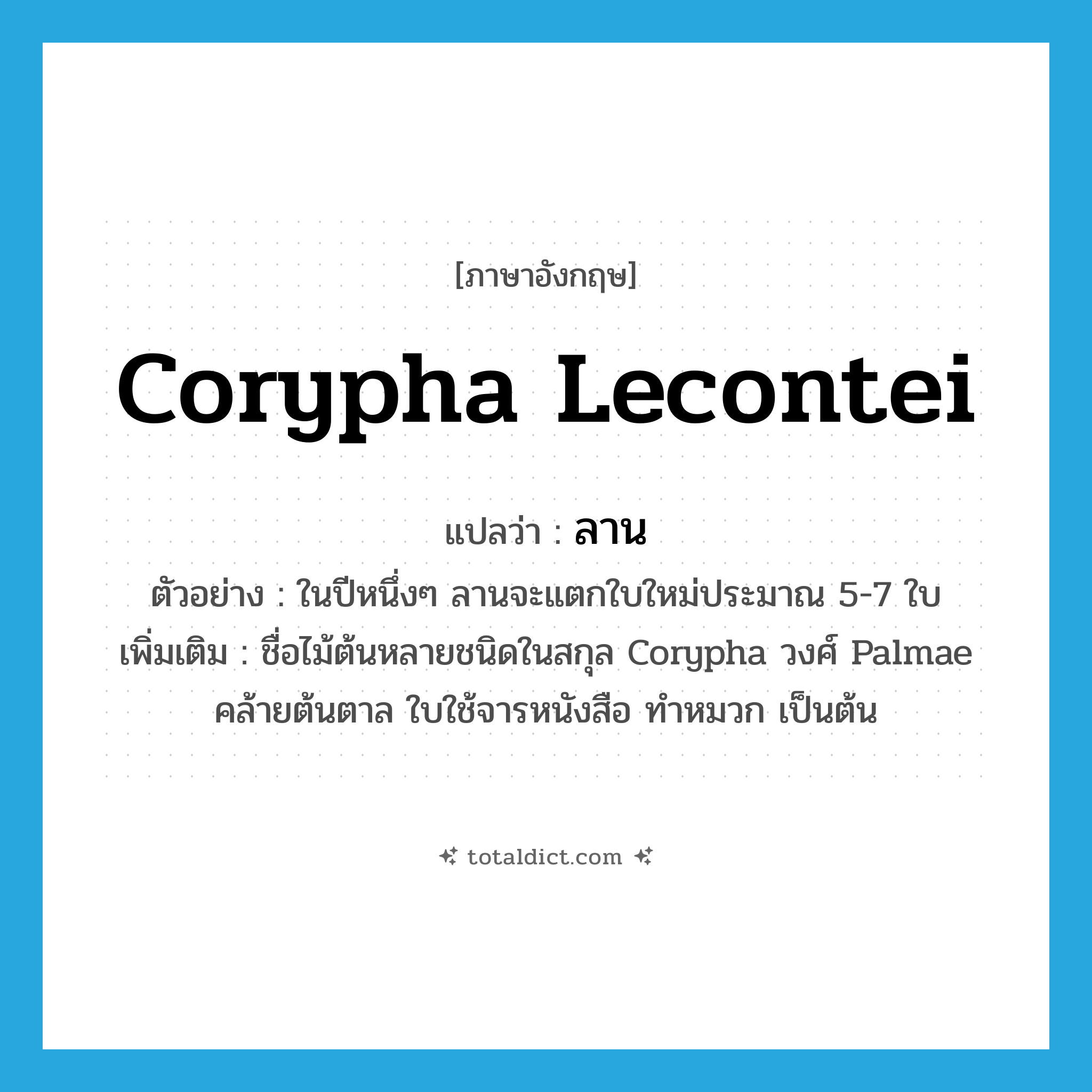 ลาน ภาษาอังกฤษ?, คำศัพท์ภาษาอังกฤษ ลาน แปลว่า Corypha lecontei ประเภท N ตัวอย่าง ในปีหนึ่งๆ ลานจะแตกใบใหม่ประมาณ 5-7 ใบ เพิ่มเติม ชื่อไม้ต้นหลายชนิดในสกุล Corypha วงศ์ Palmae คล้ายต้นตาล ใบใช้จารหนังสือ ทำหมวก เป็นต้น หมวด N