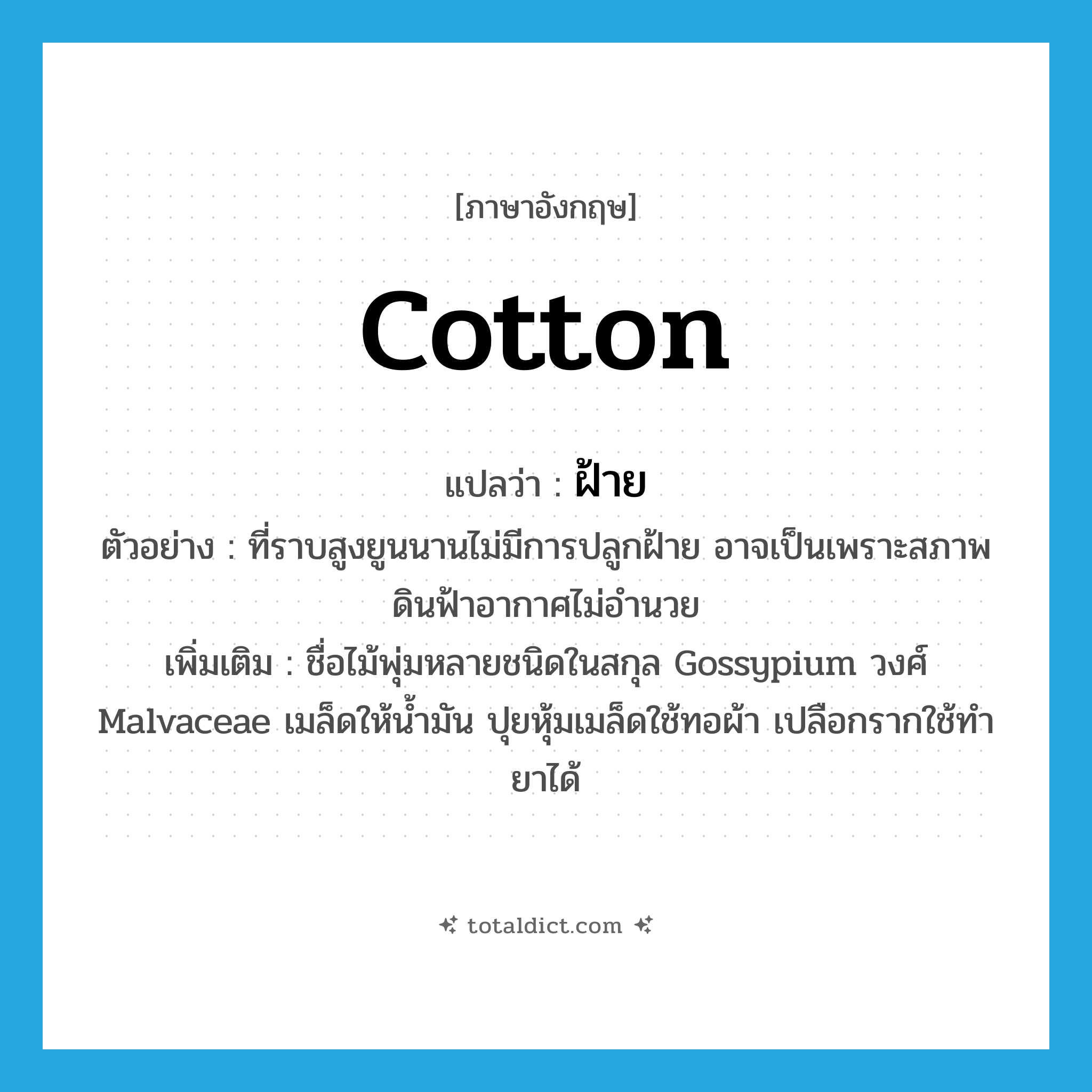 cotton แปลว่า?, คำศัพท์ภาษาอังกฤษ cotton แปลว่า ฝ้าย ประเภท N ตัวอย่าง ที่ราบสูงยูนนานไม่มีการปลูกฝ้าย อาจเป็นเพราะสภาพดินฟ้าอากาศไม่อำนวย เพิ่มเติม ชื่อไม้พุ่มหลายชนิดในสกุล Gossypium วงศ์ Malvaceae เมล็ดให้น้ำมัน ปุยหุ้มเมล็ดใช้ทอผ้า เปลือกรากใช้ทำยาได้ หมวด N