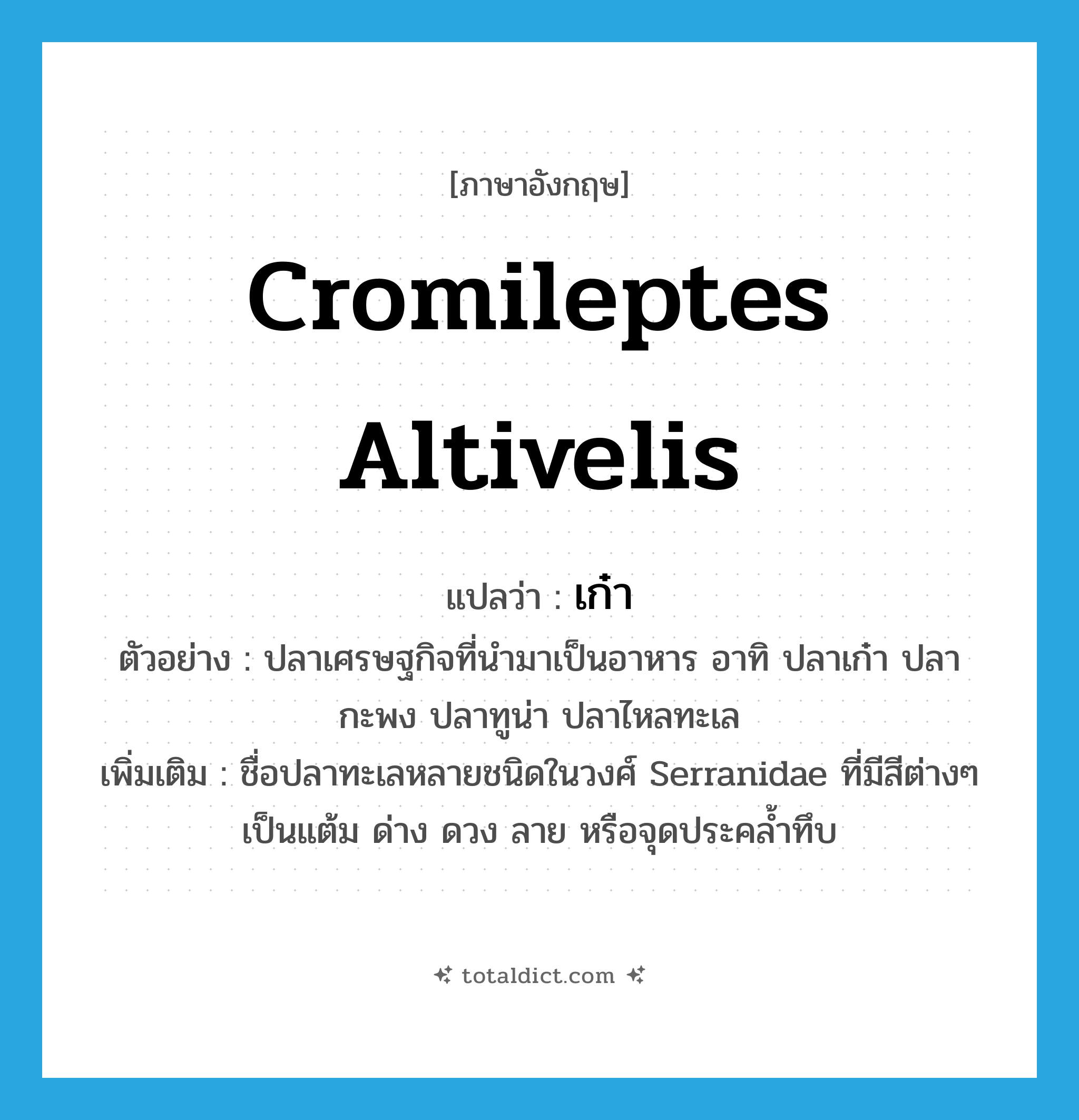 เก๋า ภาษาอังกฤษ?, คำศัพท์ภาษาอังกฤษ เก๋า แปลว่า Cromileptes altivelis ประเภท N ตัวอย่าง ปลาเศรษฐกิจที่นำมาเป็นอาหาร อาทิ ปลาเก๋า ปลากะพง ปลาทูน่า ปลาไหลทะเล เพิ่มเติม ชื่อปลาทะเลหลายชนิดในวงศ์ Serranidae ที่มีสีต่างๆ เป็นแต้ม ด่าง ดวง ลาย หรือจุดประคล้ำทึบ หมวด N