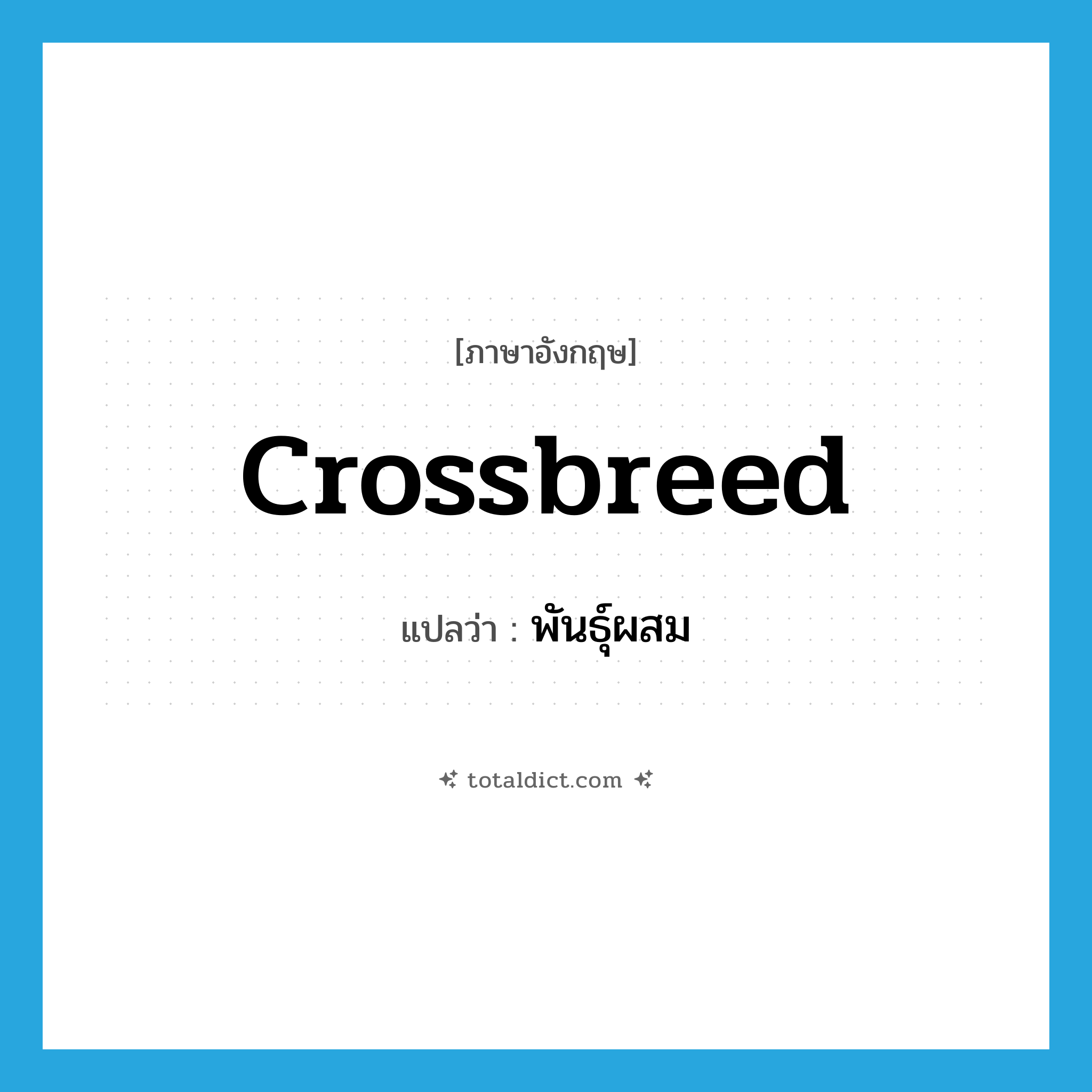 crossbreed แปลว่า?, คำศัพท์ภาษาอังกฤษ crossbreed แปลว่า พันธุ์ผสม ประเภท N หมวด N