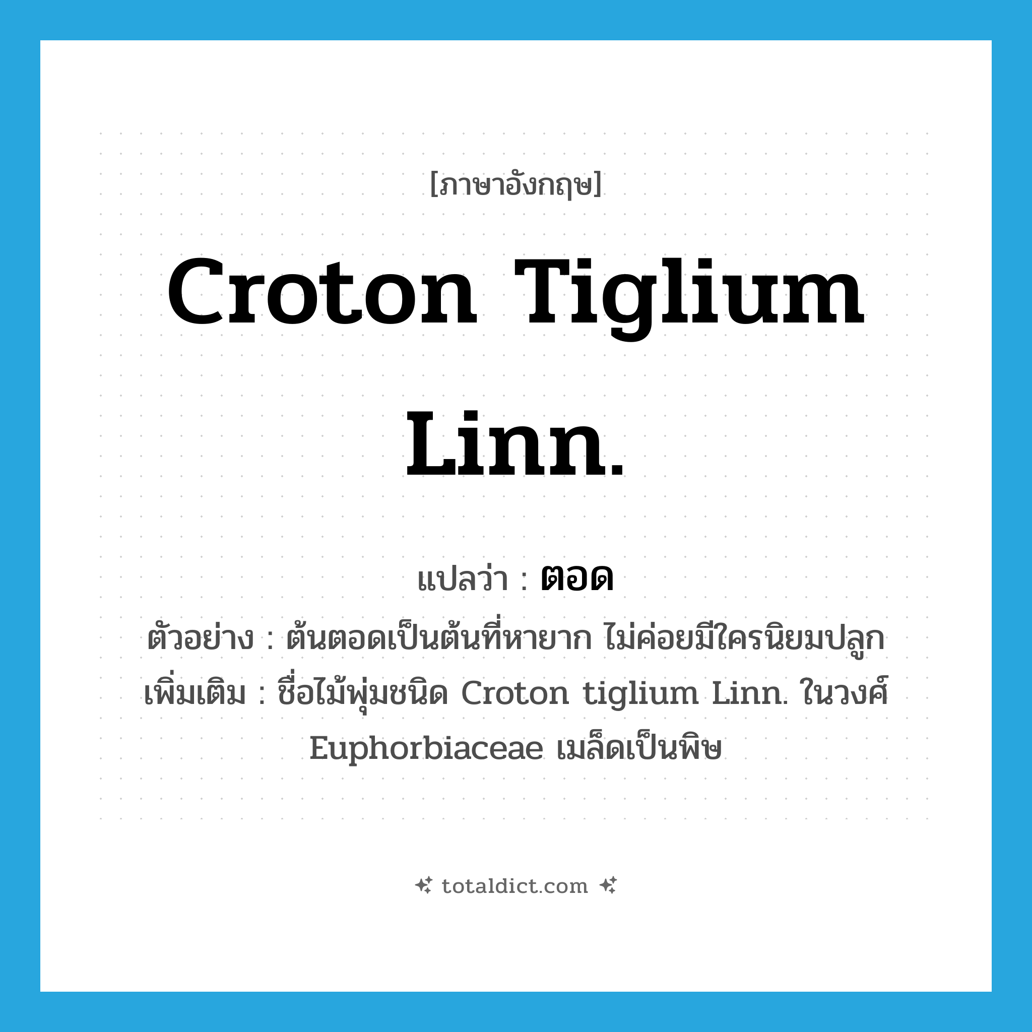 Croton tiglium Linn. แปลว่า?, คำศัพท์ภาษาอังกฤษ Croton tiglium Linn. แปลว่า ตอด ประเภท N ตัวอย่าง ต้นตอดเป็นต้นที่หายาก ไม่ค่อยมีใครนิยมปลูก เพิ่มเติม ชื่อไม้พุ่มชนิด Croton tiglium Linn. ในวงศ์ Euphorbiaceae เมล็ดเป็นพิษ หมวด N