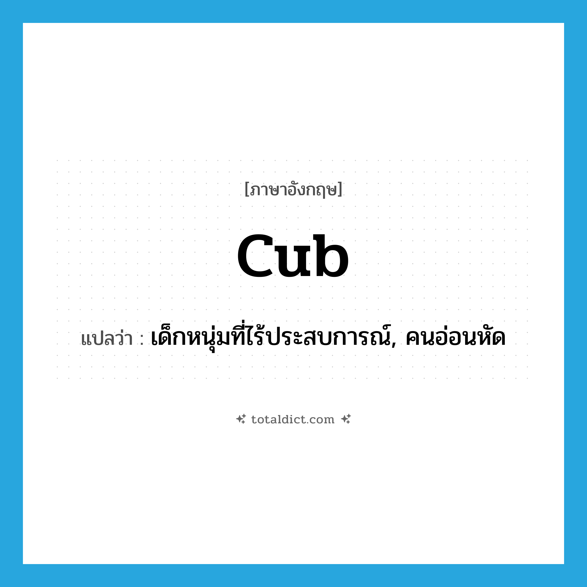 cub แปลว่า?, คำศัพท์ภาษาอังกฤษ cub แปลว่า เด็กหนุ่มที่ไร้ประสบการณ์, คนอ่อนหัด ประเภท N หมวด N