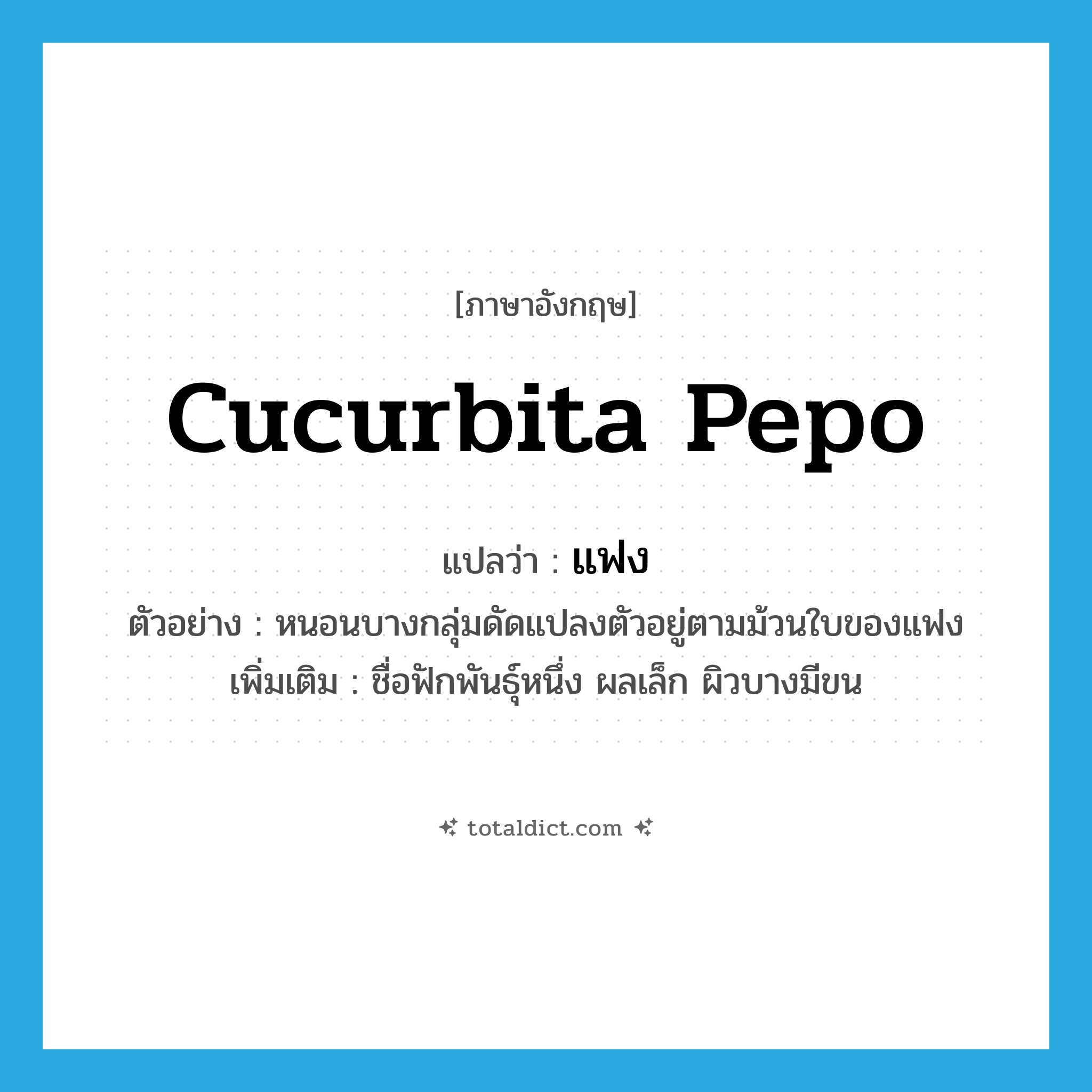 cucurbita pepo แปลว่า?, คำศัพท์ภาษาอังกฤษ cucurbita pepo แปลว่า แฟง ประเภท N ตัวอย่าง หนอนบางกลุ่มดัดแปลงตัวอยู่ตามม้วนใบของแฟง เพิ่มเติม ชื่อฟักพันธุ์หนึ่ง ผลเล็ก ผิวบางมีขน หมวด N