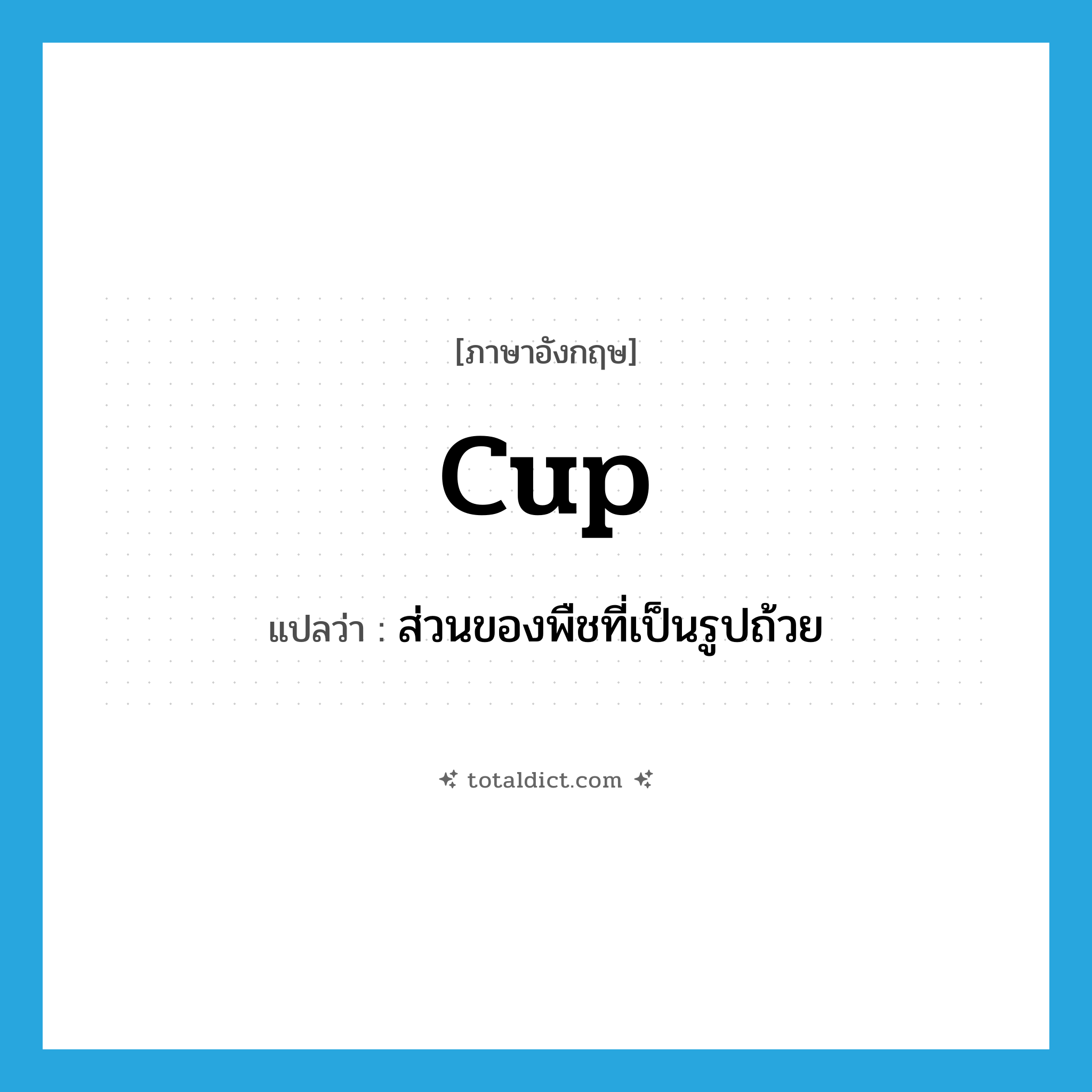 cup แปลว่า?, คำศัพท์ภาษาอังกฤษ cup แปลว่า ส่วนของพืชที่เป็นรูปถ้วย ประเภท N หมวด N