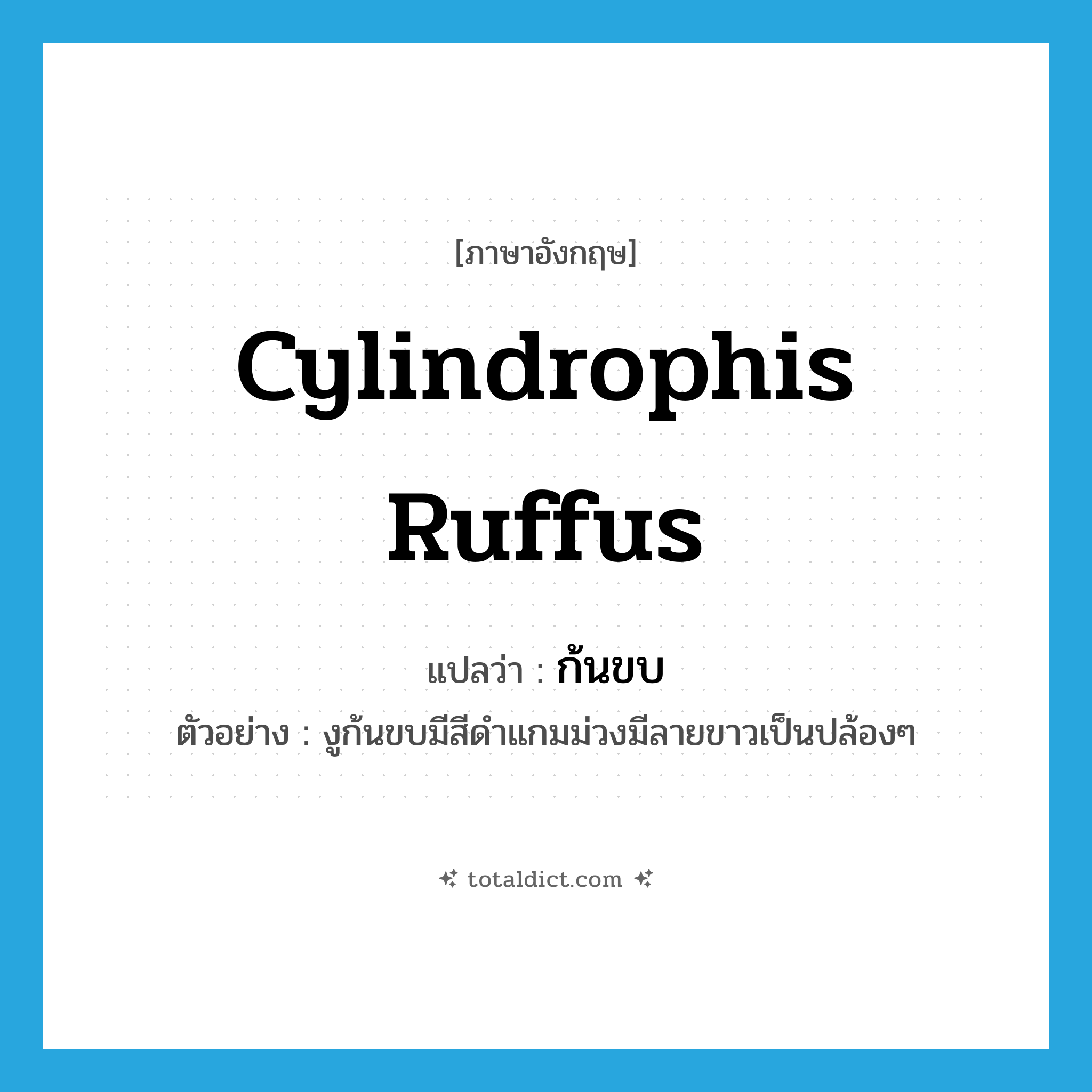cylindrophis ruffus แปลว่า?, คำศัพท์ภาษาอังกฤษ cylindrophis ruffus แปลว่า ก้นขบ ประเภท N ตัวอย่าง งูก้นขบมีสีดำแกมม่วงมีลายขาวเป็นปล้องๆ หมวด N