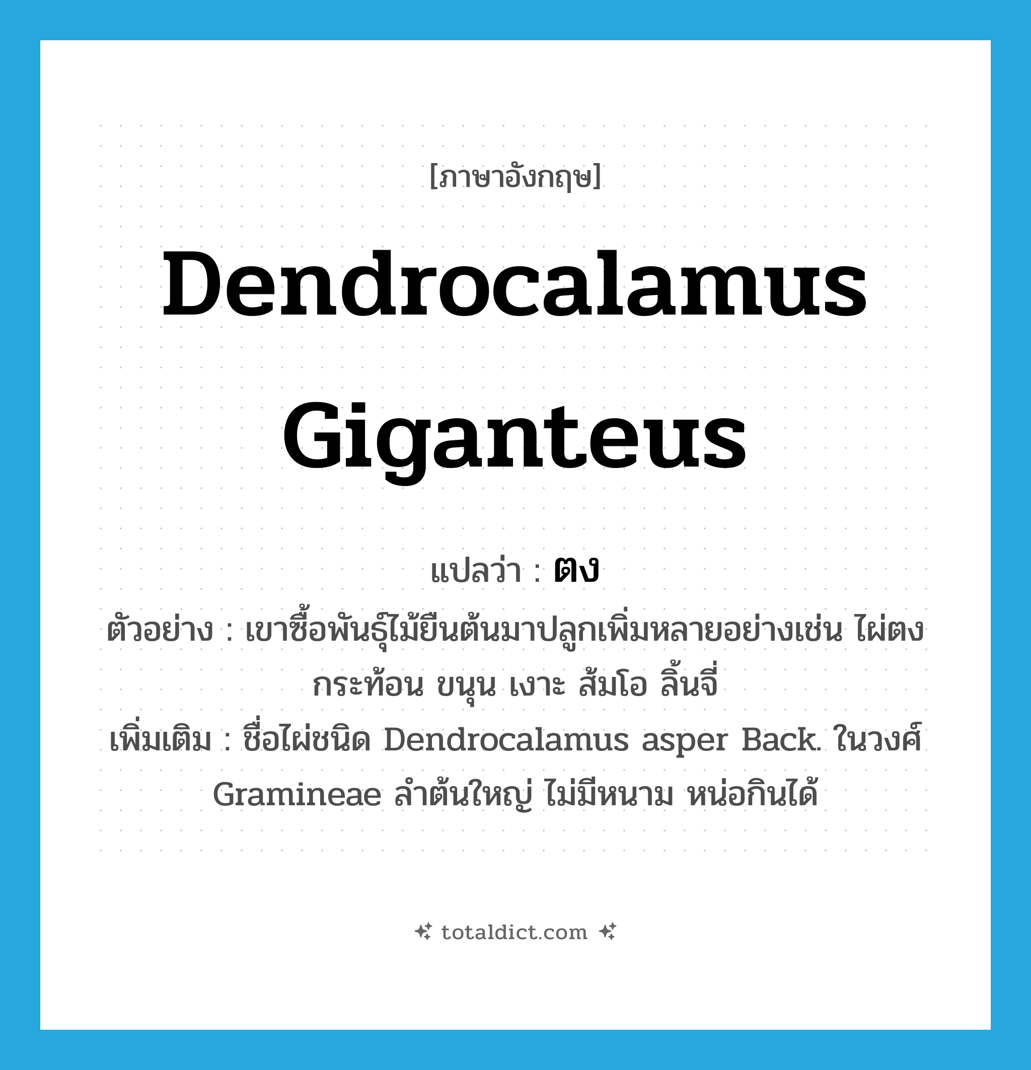 Dendrocalamus giganteus แปลว่า?, คำศัพท์ภาษาอังกฤษ Dendrocalamus giganteus แปลว่า ตง ประเภท N ตัวอย่าง เขาซื้อพันธุ์ไม้ยืนต้นมาปลูกเพิ่มหลายอย่างเช่น ไผ่ตง กระท้อน ขนุน เงาะ ส้มโอ ลิ้นจี่ เพิ่มเติม ชื่อไผ่ชนิด Dendrocalamus asper Back. ในวงศ์ Gramineae ลำต้นใหญ่ ไม่มีหนาม หน่อกินได้ หมวด N