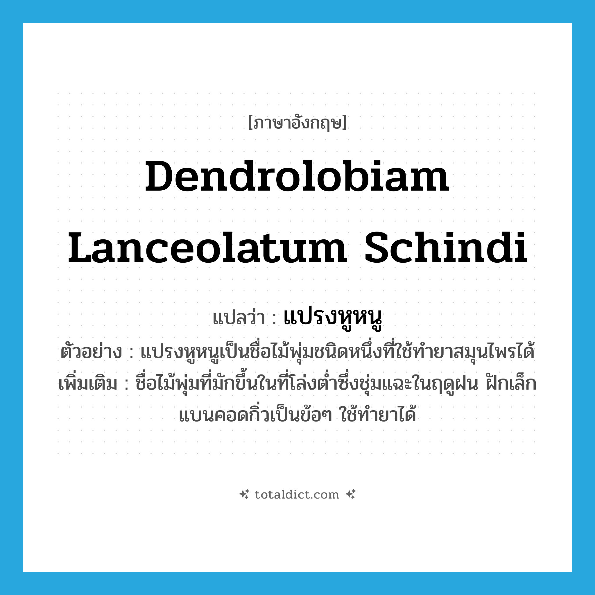 Dendrolobiam lanceolatum Schindi แปลว่า?, คำศัพท์ภาษาอังกฤษ Dendrolobiam lanceolatum Schindi แปลว่า แปรงหูหนู ประเภท N ตัวอย่าง แปรงหูหนูเป็นชื่อไม้พุ่มชนิดหนึ่งที่ใช้ทำยาสมุนไพรได้ เพิ่มเติม ชื่อไม้พุ่มที่มักขึ้นในที่โล่งต่ำซึ่งชุ่มแฉะในฤดูฝน ฝักเล็กแบนคอดกิ่วเป็นข้อๆ ใช้ทำยาได้ หมวด N