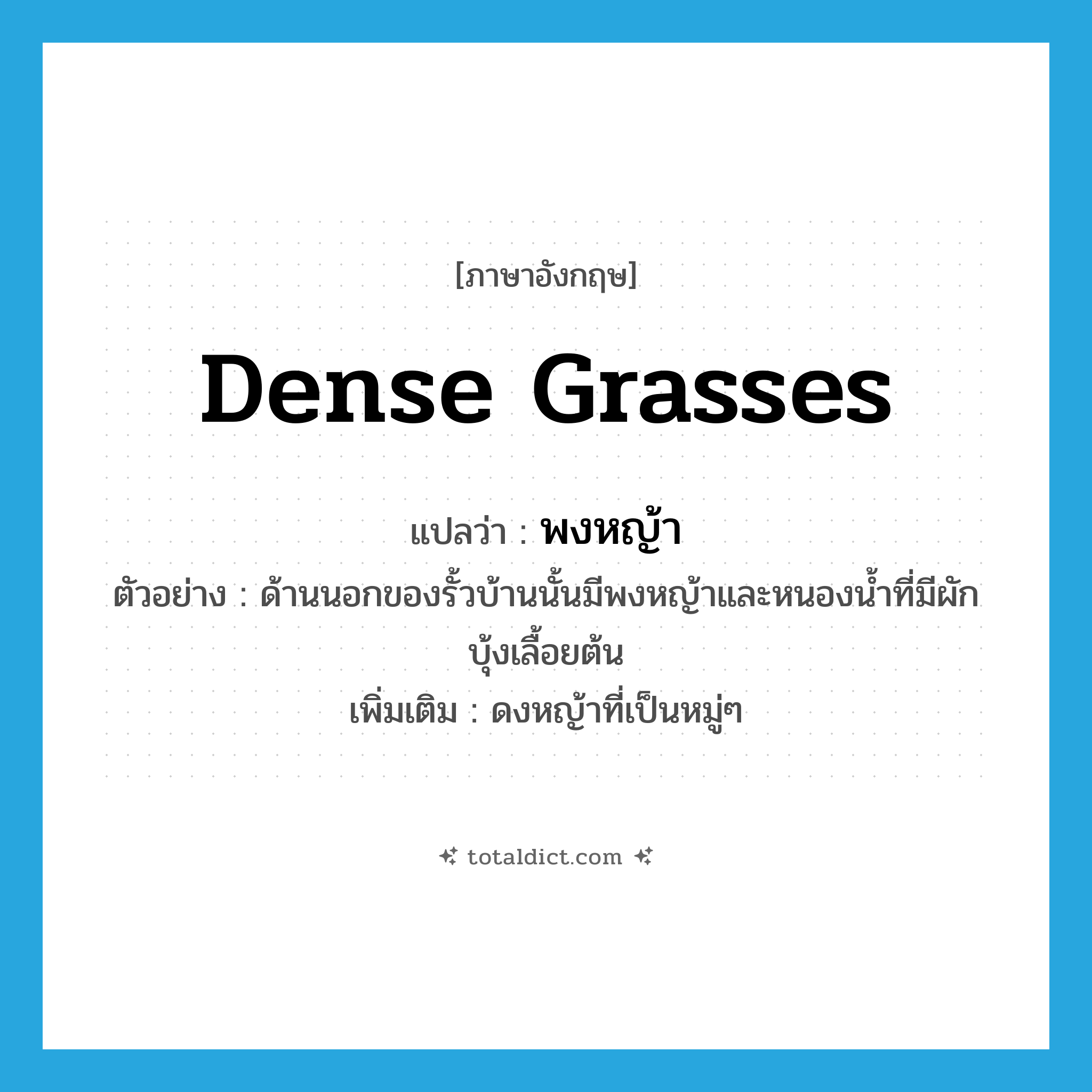 dense grasses แปลว่า?, คำศัพท์ภาษาอังกฤษ dense grasses แปลว่า พงหญ้า ประเภท N ตัวอย่าง ด้านนอกของรั้วบ้านนั้นมีพงหญ้าและหนองน้ำที่มีผักบุ้งเลื้อยต้น เพิ่มเติม ดงหญ้าที่เป็นหมู่ๆ หมวด N