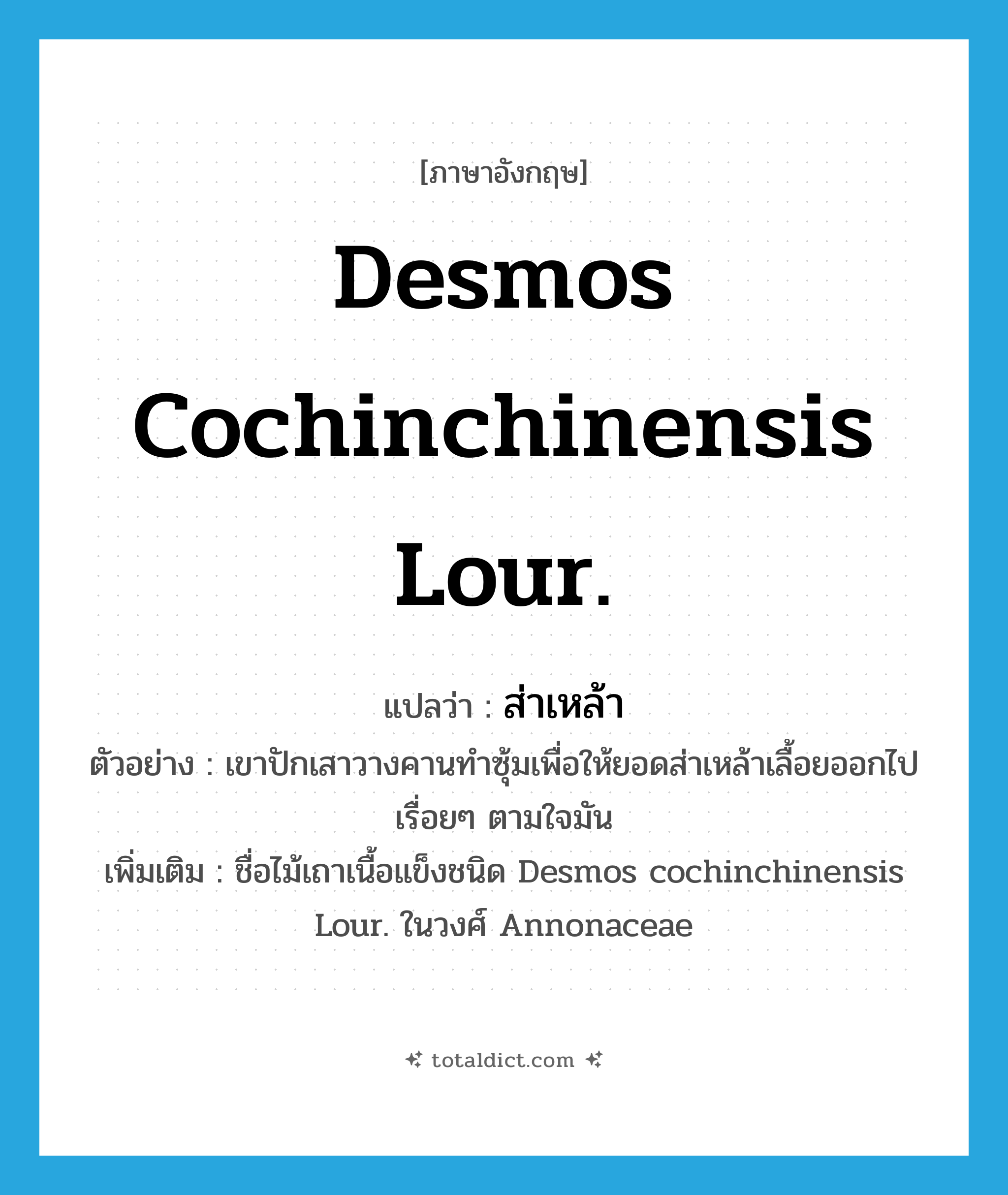 ส่าเหล้า ภาษาอังกฤษ?, คำศัพท์ภาษาอังกฤษ ส่าเหล้า แปลว่า Desmos cochinchinensis Lour. ประเภท N ตัวอย่าง เขาปักเสาวางคานทำซุ้มเพื่อให้ยอดส่าเหล้าเลื้อยออกไปเรื่อยๆ ตามใจมัน เพิ่มเติม ชื่อไม้เถาเนื้อแข็งชนิด Desmos cochinchinensis Lour. ในวงศ์ Annonaceae หมวด N