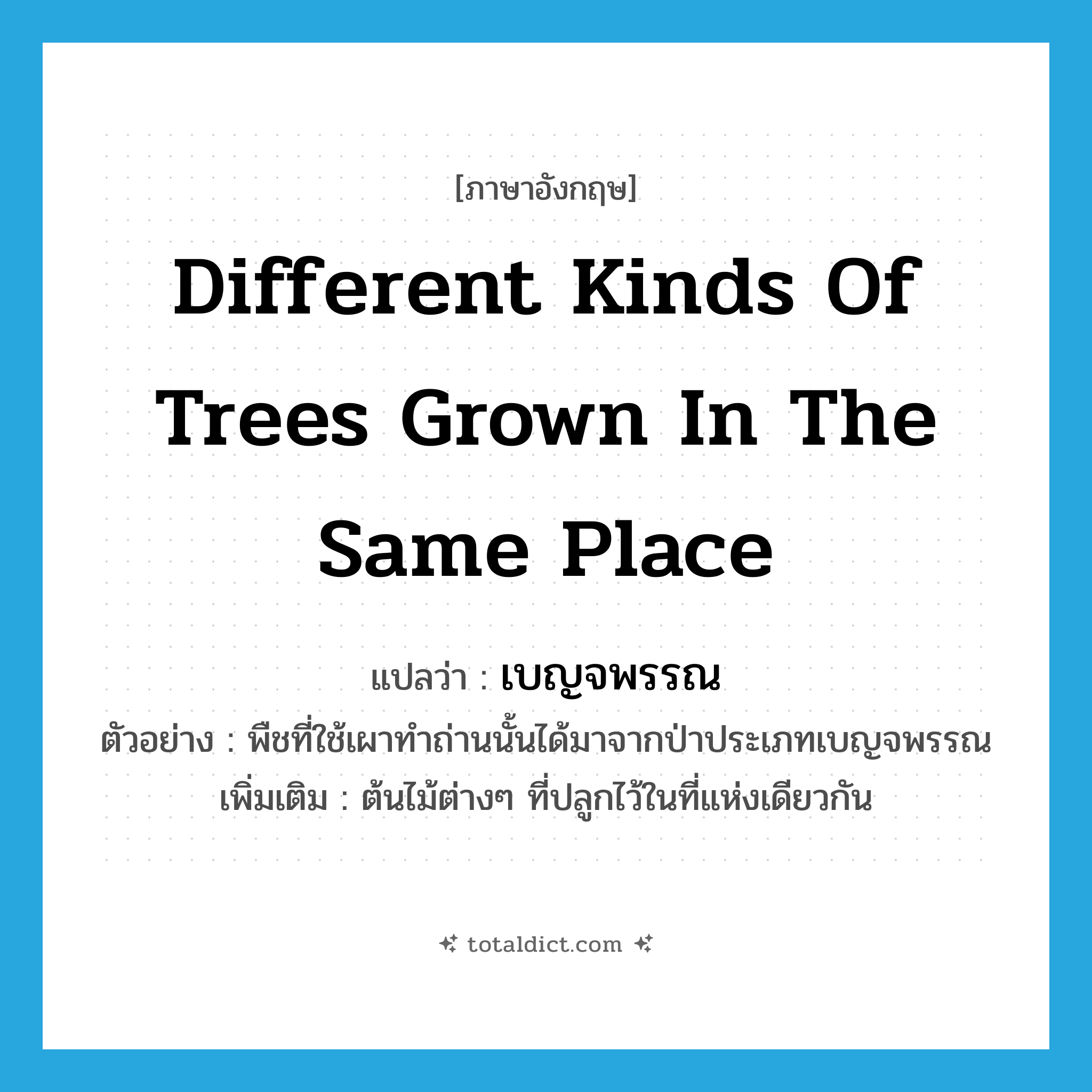 different kinds of trees grown in the same place แปลว่า?, คำศัพท์ภาษาอังกฤษ different kinds of trees grown in the same place แปลว่า เบญจพรรณ ประเภท N ตัวอย่าง พืชที่ใช้เผาทำถ่านนั้นได้มาจากป่าประเภทเบญจพรรณ เพิ่มเติม ต้นไม้ต่างๆ ที่ปลูกไว้ในที่แห่งเดียวกัน หมวด N