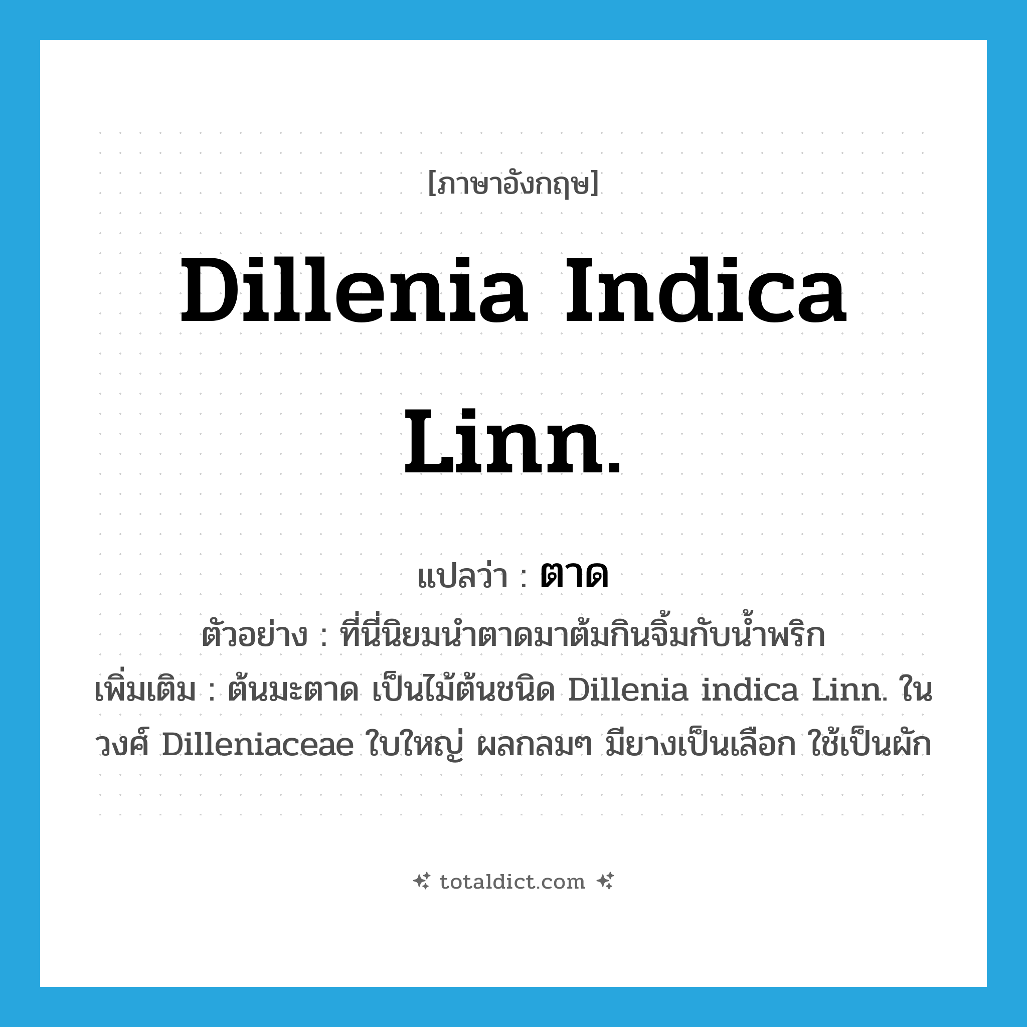 ตาด ภาษาอังกฤษ?, คำศัพท์ภาษาอังกฤษ ตาด แปลว่า Dillenia indica Linn. ประเภท N ตัวอย่าง ที่นี่นิยมนำตาดมาต้มกินจิ้มกับน้ำพริก เพิ่มเติม ต้นมะตาด เป็นไม้ต้นชนิด Dillenia indica Linn. ในวงศ์ Dilleniaceae ใบใหญ่ ผลกลมๆ มียางเป็นเลือก ใช้เป็นผัก หมวด N
