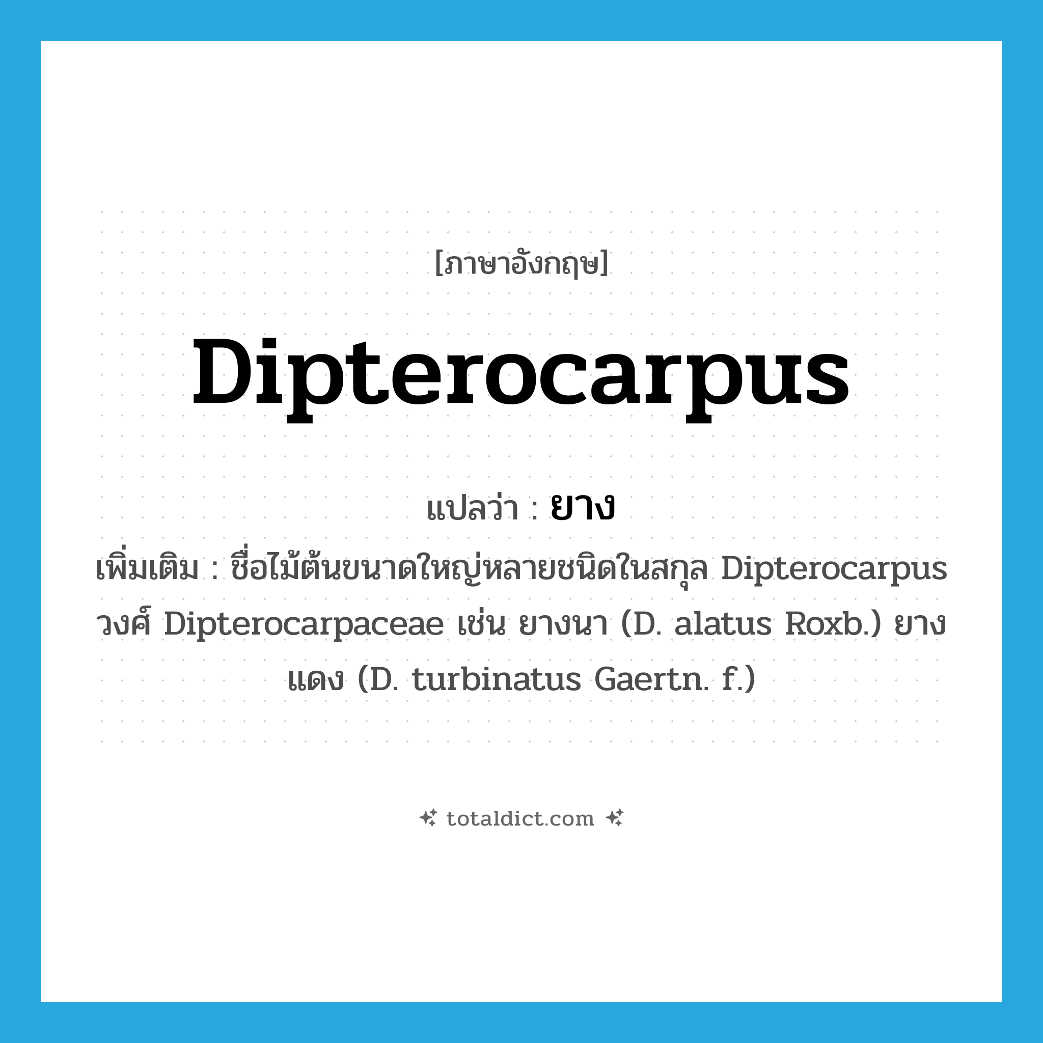 ยาง ภาษาอังกฤษ?, คำศัพท์ภาษาอังกฤษ ยาง แปลว่า Dipterocarpus ประเภท N เพิ่มเติม ชื่อไม้ต้นขนาดใหญ่หลายชนิดในสกุล Dipterocarpus วงศ์ Dipterocarpaceae เช่น ยางนา (D. alatus Roxb.) ยางแดง (D. turbinatus Gaertn. f.) หมวด N