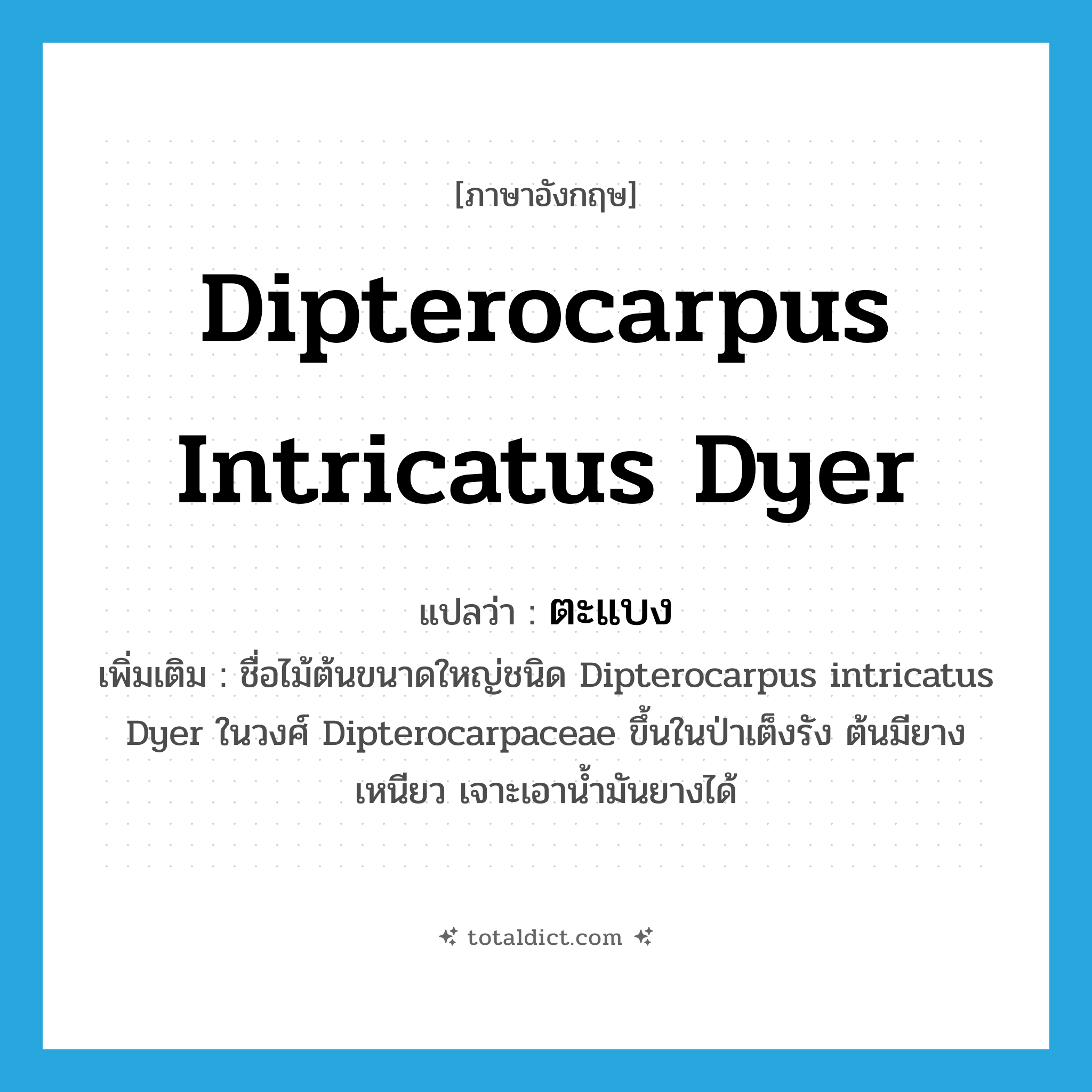 Dipterocarpus intricatus Dyer แปลว่า?, คำศัพท์ภาษาอังกฤษ Dipterocarpus intricatus Dyer แปลว่า ตะแบง ประเภท N เพิ่มเติม ชื่อไม้ต้นขนาดใหญ่ชนิด Dipterocarpus intricatus Dyer ในวงศ์ Dipterocarpaceae ขึ้นในป่าเต็งรัง ต้นมียางเหนียว เจาะเอาน้ำมันยางได้ หมวด N