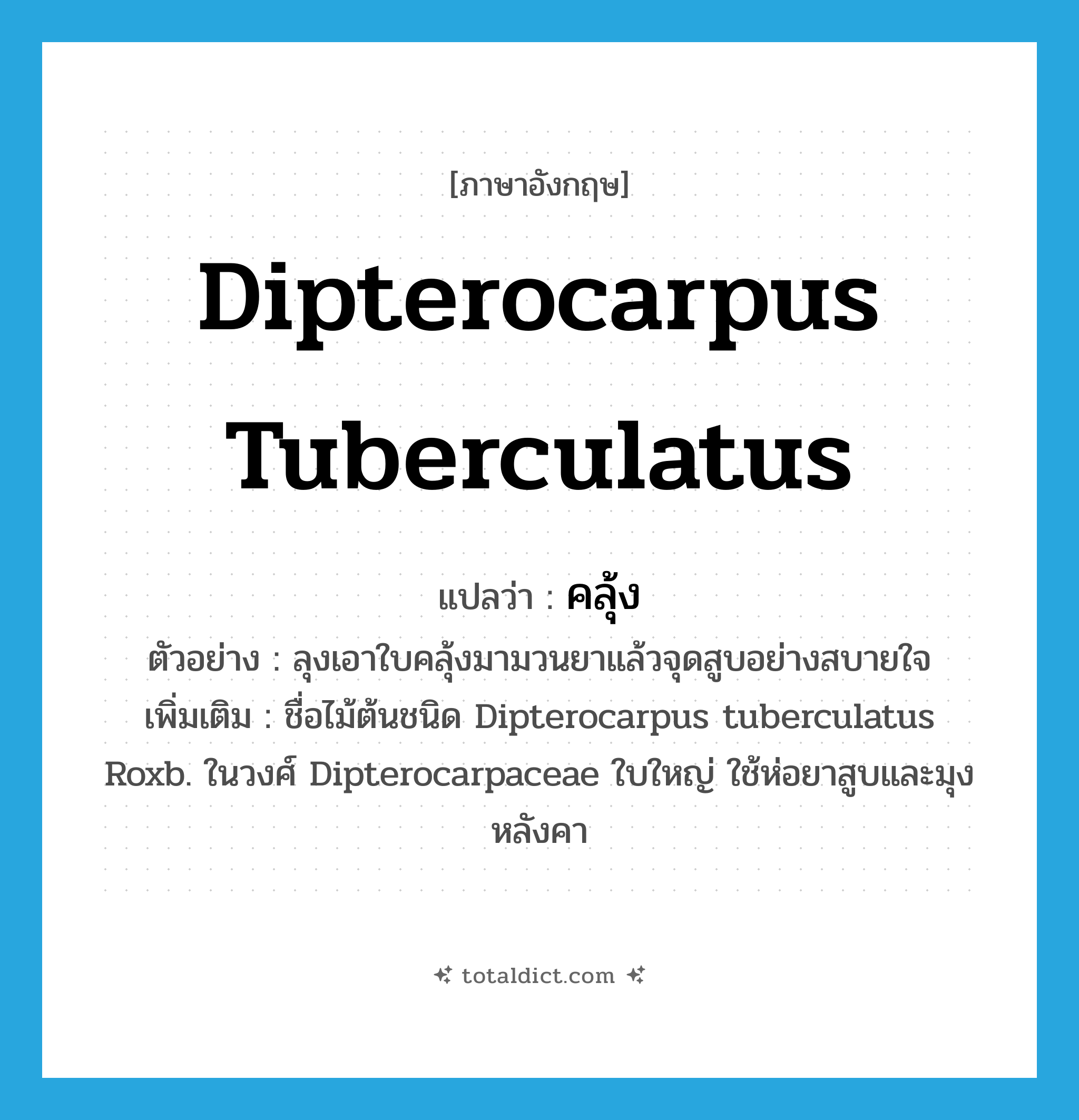 Dipterocarpus tuberculatus แปลว่า?, คำศัพท์ภาษาอังกฤษ Dipterocarpus tuberculatus แปลว่า คลุ้ง ประเภท N ตัวอย่าง ลุงเอาใบคลุ้งมามวนยาแล้วจุดสูบอย่างสบายใจ เพิ่มเติม ชื่อไม้ต้นชนิด Dipterocarpus tuberculatus Roxb. ในวงศ์ Dipterocarpaceae ใบใหญ่ ใช้ห่อยาสูบและมุงหลังคา หมวด N