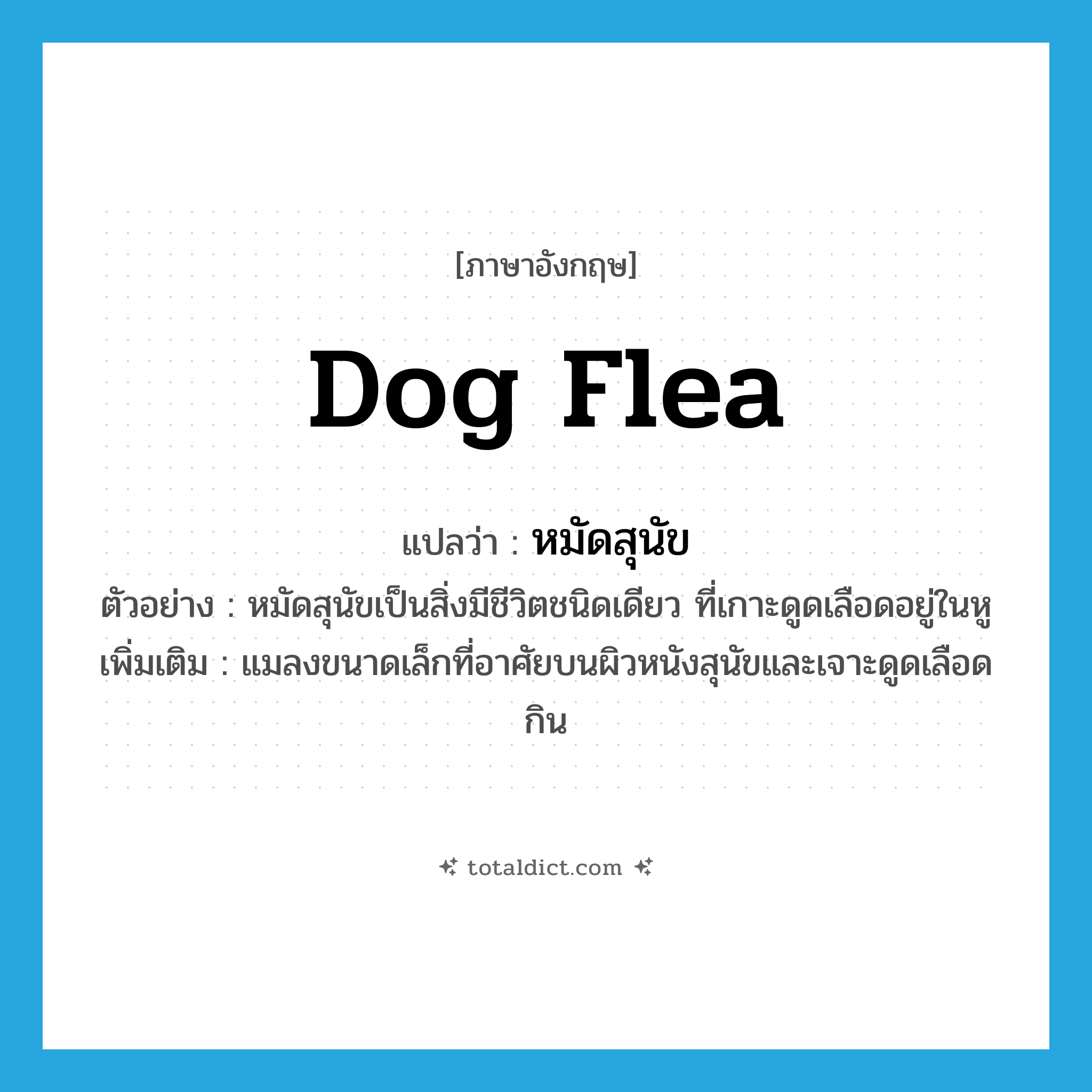 dog flea แปลว่า?, คำศัพท์ภาษาอังกฤษ dog flea แปลว่า หมัดสุนัข ประเภท N ตัวอย่าง หมัดสุนัขเป็นสิ่งมีชีวิตชนิดเดียว ที่เกาะดูดเลือดอยู่ในหู เพิ่มเติม แมลงขนาดเล็กที่อาศัยบนผิวหนังสุนัขและเจาะดูดเลือดกิน หมวด N