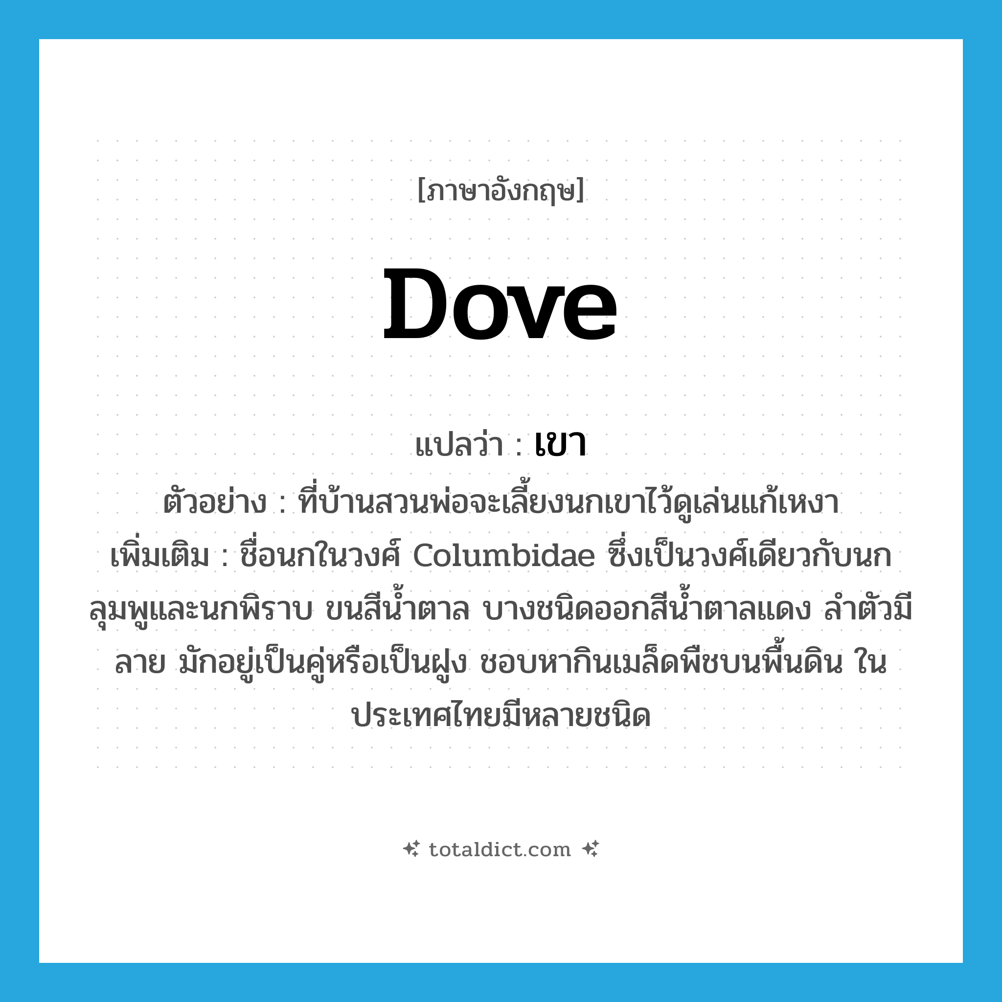 dove แปลว่า?, คำศัพท์ภาษาอังกฤษ dove แปลว่า เขา ประเภท N ตัวอย่าง ที่บ้านสวนพ่อจะเลี้ยงนกเขาไว้ดูเล่นแก้เหงา เพิ่มเติม ชื่อนกในวงศ์ Columbidae ซึ่งเป็นวงศ์เดียวกับนกลุมพูและนกพิราบ ขนสีน้ำตาล บางชนิดออกสีน้ำตาลแดง ลำตัวมีลาย มักอยู่เป็นคู่หรือเป็นฝูง ชอบหากินเมล็ดพืชบนพื้นดิน ในประเทศไทยมีหลายชนิด หมวด N