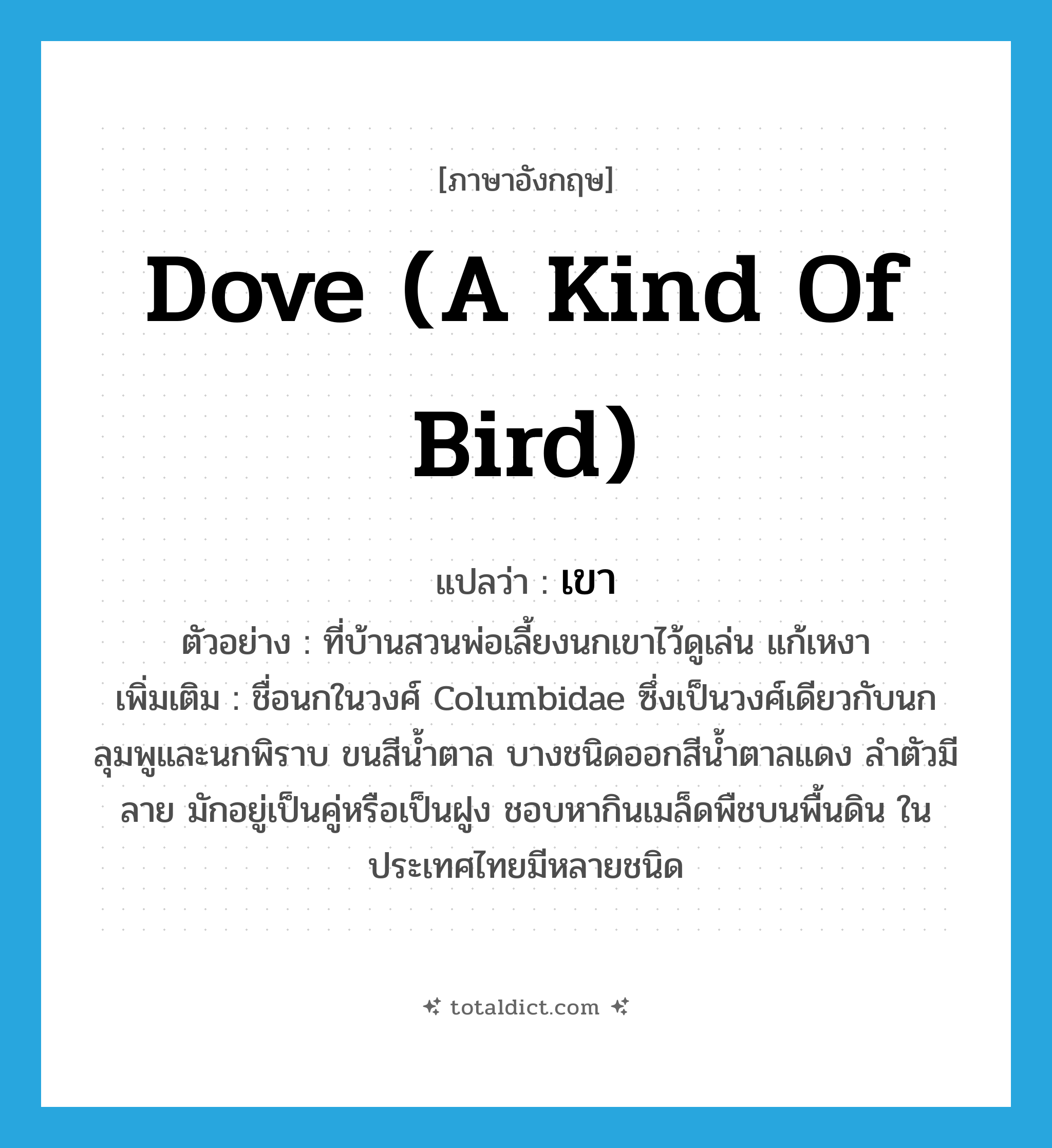เขา ภาษาอังกฤษ?, คำศัพท์ภาษาอังกฤษ เขา แปลว่า dove (a kind of bird) ประเภท N ตัวอย่าง ที่บ้านสวนพ่อเลี้ยงนกเขาไว้ดูเล่น แก้เหงา เพิ่มเติม ชื่อนกในวงศ์ Columbidae ซึ่งเป็นวงศ์เดียวกับนกลุมพูและนกพิราบ ขนสีน้ำตาล บางชนิดออกสีน้ำตาลแดง ลำตัวมีลาย มักอยู่เป็นคู่หรือเป็นฝูง ชอบหากินเมล็ดพืชบนพื้นดิน ในประเทศไทยมีหลายชนิด หมวด N