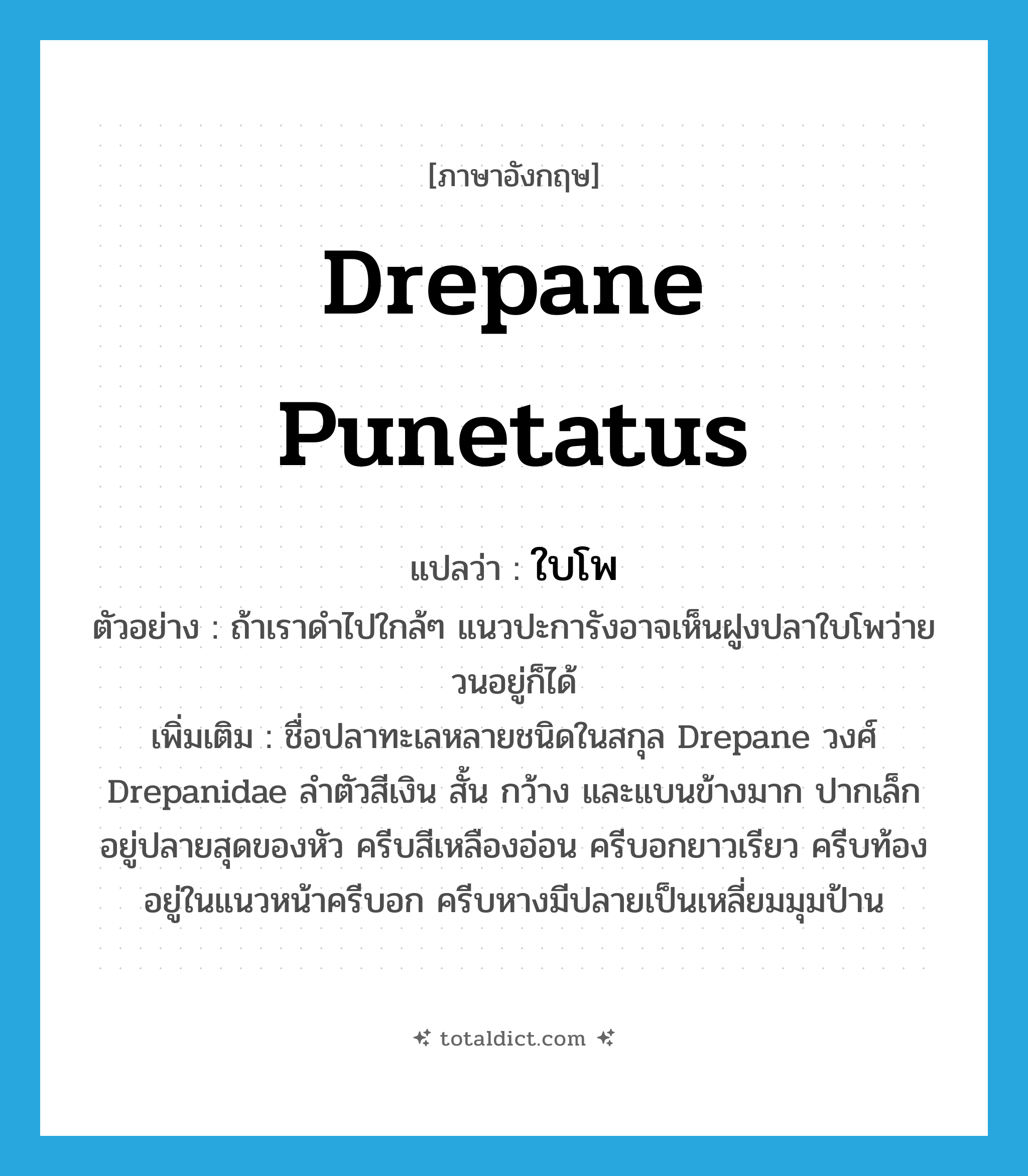 ใบโพ ภาษาอังกฤษ?, คำศัพท์ภาษาอังกฤษ ใบโพ แปลว่า drepane punetatus ประเภท N ตัวอย่าง ถ้าเราดำไปใกล้ๆ แนวปะการังอาจเห็นฝูงปลาใบโพว่ายวนอยู่ก็ได้ เพิ่มเติม ชื่อปลาทะเลหลายชนิดในสกุล Drepane วงศ์ Drepanidae ลำตัวสีเงิน สั้น กว้าง และแบนข้างมาก ปากเล็กอยู่ปลายสุดของหัว ครีบสีเหลืองอ่อน ครีบอกยาวเรียว ครีบท้องอยู่ในแนวหน้าครีบอก ครีบหางมีปลายเป็นเหลี่ยมมุมป้าน หมวด N