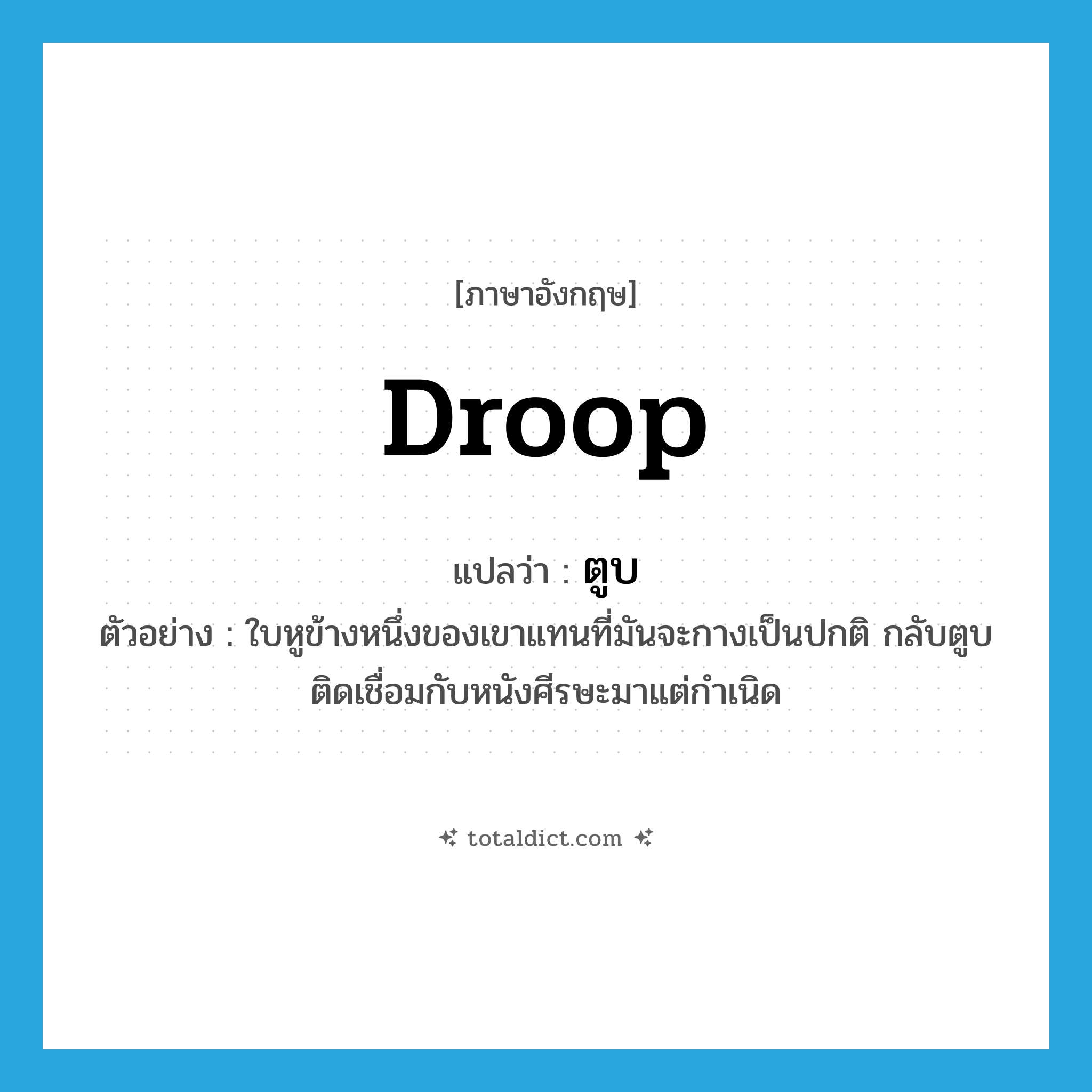 ตูบ ภาษาอังกฤษ?, คำศัพท์ภาษาอังกฤษ ตูบ แปลว่า droop ประเภท V ตัวอย่าง ใบหูข้างหนึ่งของเขาแทนที่มันจะกางเป็นปกติ กลับตูบติดเชื่อมกับหนังศีรษะมาแต่กำเนิด หมวด V