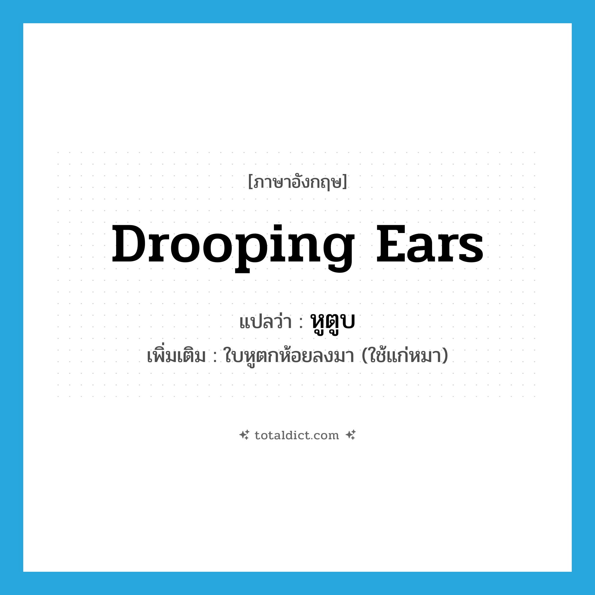drooping ears แปลว่า?, คำศัพท์ภาษาอังกฤษ drooping ears แปลว่า หูตูบ ประเภท N เพิ่มเติม ใบหูตกห้อยลงมา (ใช้แก่หมา) หมวด N