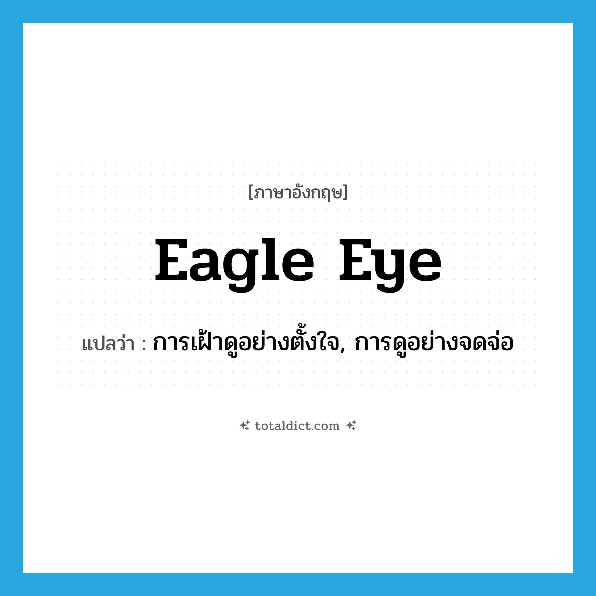 eagle eye แปลว่า?, คำศัพท์ภาษาอังกฤษ eagle eye แปลว่า การเฝ้าดูอย่างตั้งใจ, การดูอย่างจดจ่อ ประเภท IDM หมวด IDM