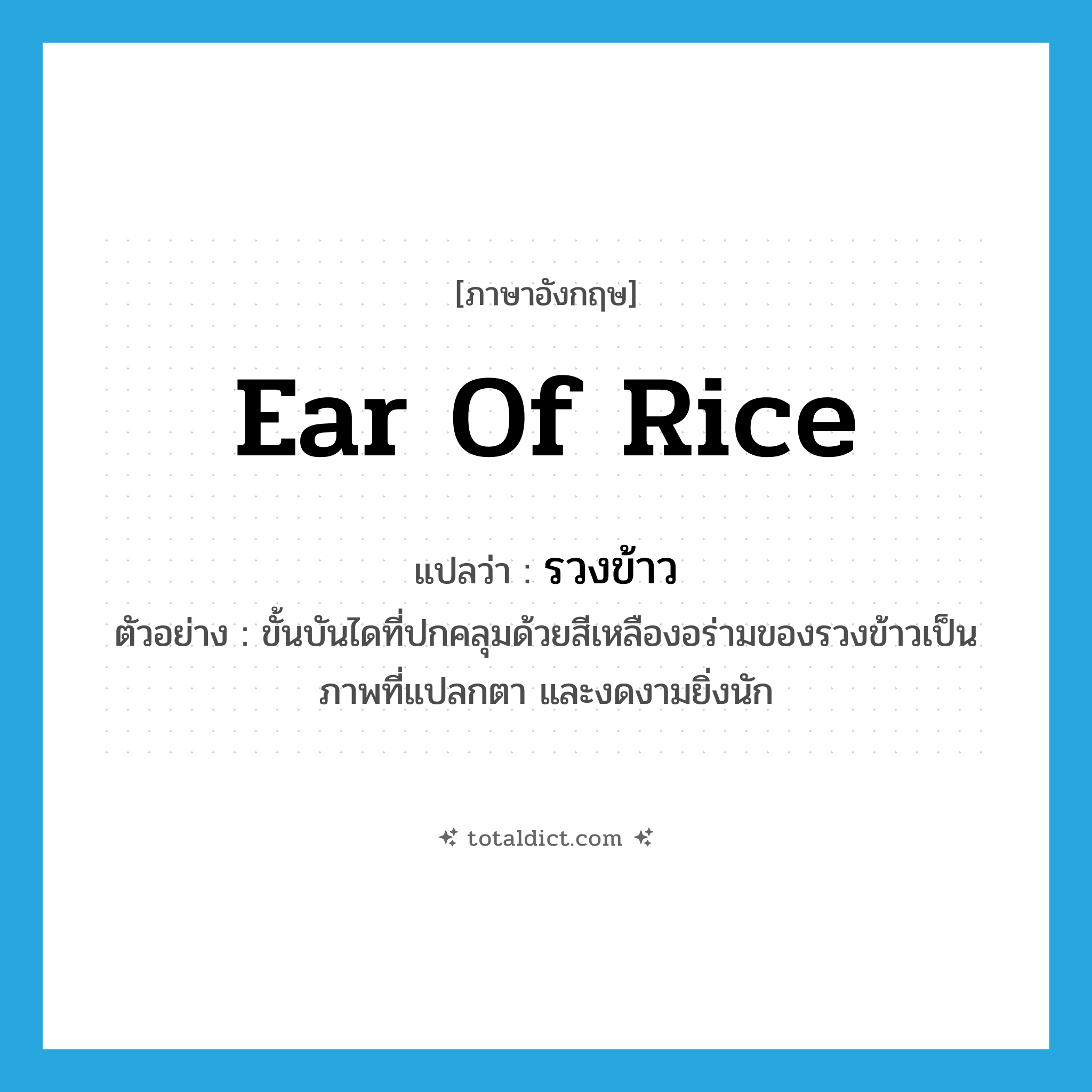 ear of rice แปลว่า?, คำศัพท์ภาษาอังกฤษ ear of rice แปลว่า รวงข้าว ประเภท N ตัวอย่าง ขั้นบันไดที่ปกคลุมด้วยสีเหลืองอร่ามของรวงข้าวเป็นภาพที่แปลกตา และงดงามยิ่งนัก หมวด N