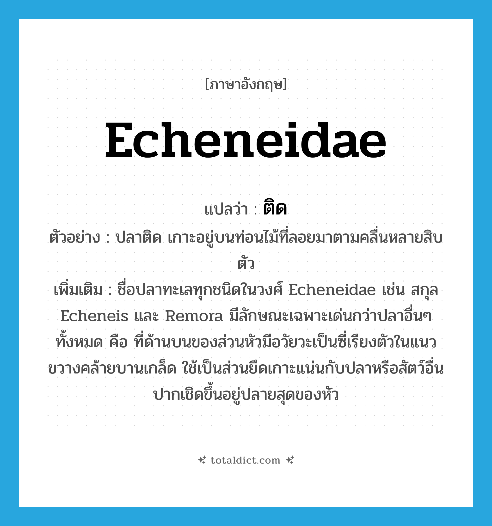 ติด ภาษาอังกฤษ?, คำศัพท์ภาษาอังกฤษ ติด แปลว่า Echeneidae ประเภท N ตัวอย่าง ปลาติด เกาะอยู่บนท่อนไม้ที่ลอยมาตามคลื่นหลายสิบตัว เพิ่มเติม ชื่อปลาทะเลทุกชนิดในวงศ์ Echeneidae เช่น สกุล Echeneis และ Remora มีลักษณะเฉพาะเด่นกว่าปลาอื่นๆ ทั้งหมด คือ ที่ด้านบนของส่วนหัวมีอวัยวะเป็นซี่เรียงตัวในแนวขวางคล้ายบานเกล็ด ใช้เป็นส่วนยึดเกาะแน่นกับปลาหรือสัตว์อื่น ปากเชิดขึ้นอยู่ปลายสุดของหัว หมวด N