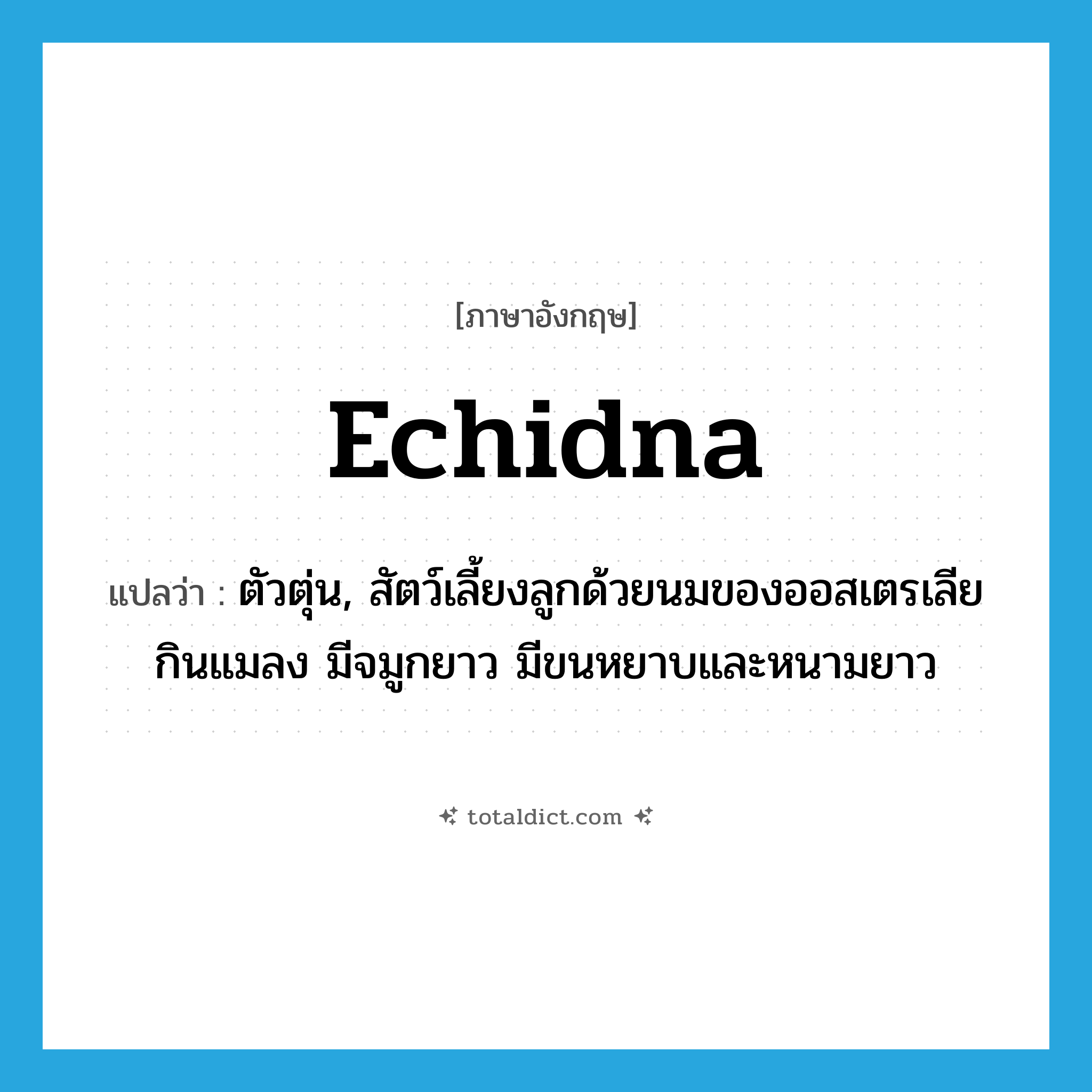 echidna แปลว่า?, คำศัพท์ภาษาอังกฤษ echidna แปลว่า ตัวตุ่น, สัตว์เลี้ยงลูกด้วยนมของออสเตรเลีย กินแมลง มีจมูกยาว มีขนหยาบและหนามยาว ประเภท N หมวด N