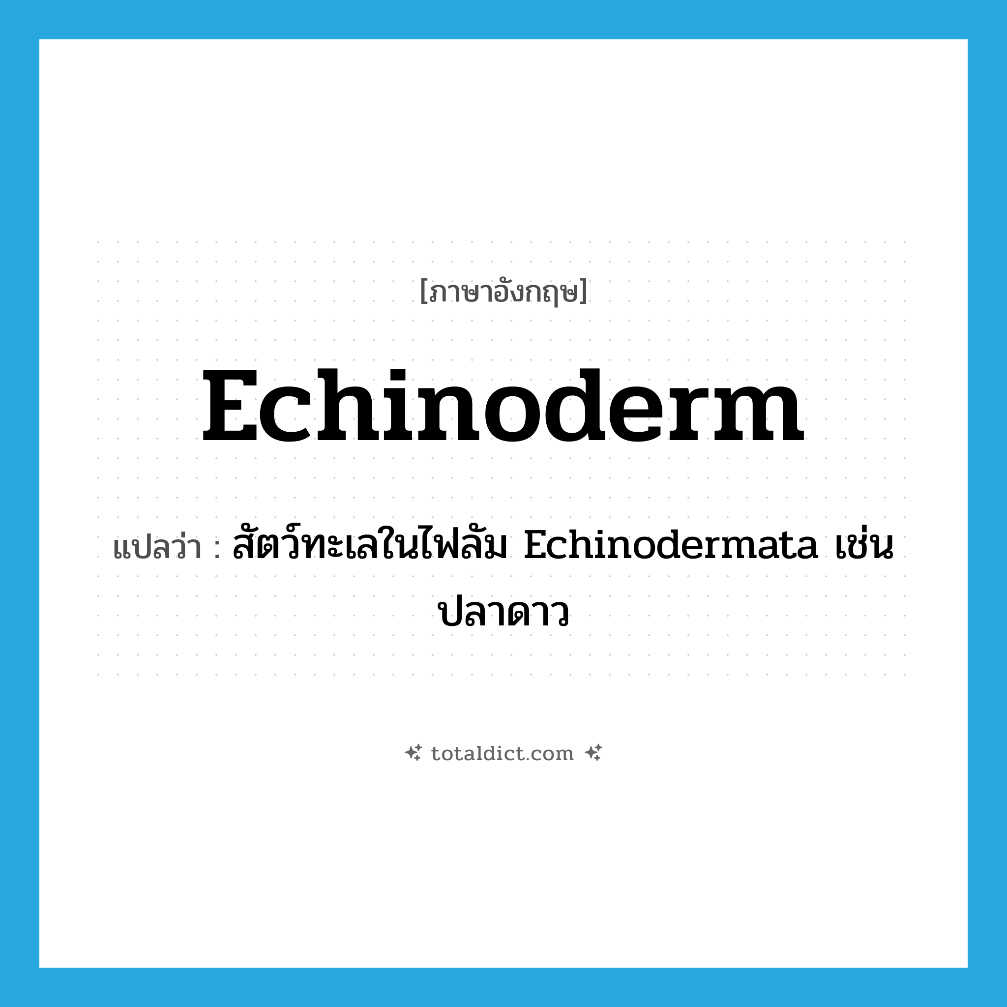 echinoderm แปลว่า?, คำศัพท์ภาษาอังกฤษ echinoderm แปลว่า สัตว์ทะเลในไฟลัม Echinodermata เช่น ปลาดาว ประเภท N หมวด N