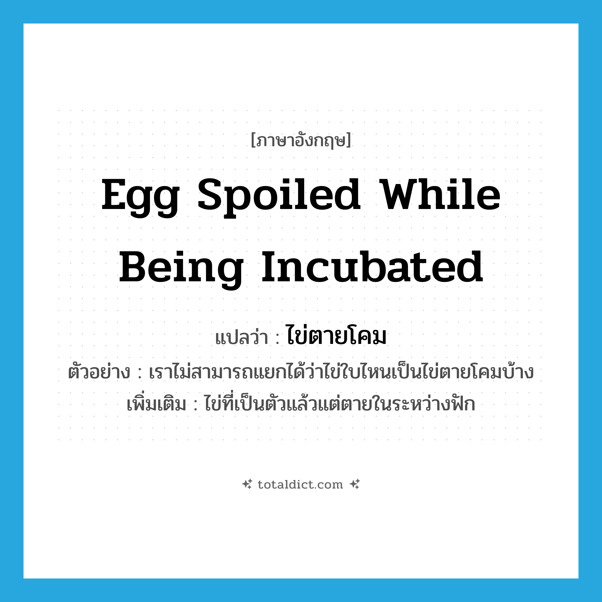 egg spoiled while being incubated แปลว่า?, คำศัพท์ภาษาอังกฤษ egg spoiled while being incubated แปลว่า ไข่ตายโคม ประเภท N ตัวอย่าง เราไม่สามารถแยกได้ว่าไข่ใบไหนเป็นไข่ตายโคมบ้าง เพิ่มเติม ไข่ที่เป็นตัวแล้วแต่ตายในระหว่างฟัก หมวด N