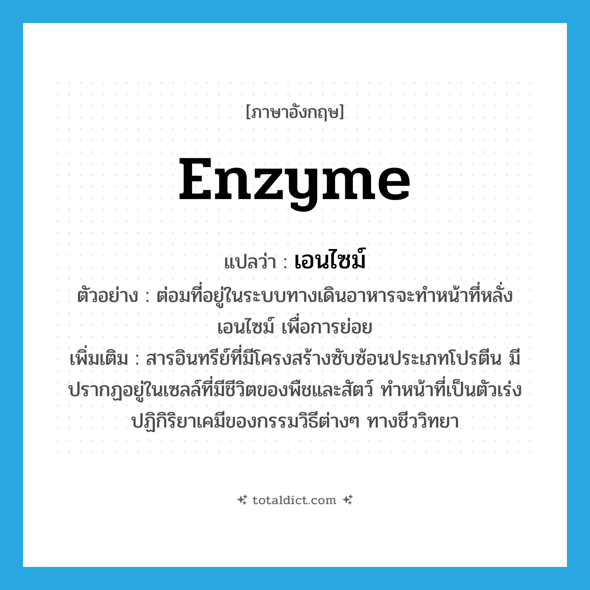 enzyme แปลว่า?, คำศัพท์ภาษาอังกฤษ enzyme แปลว่า เอนไซม์ ประเภท N ตัวอย่าง ต่อมที่อยู่ในระบบทางเดินอาหารจะทำหน้าที่หลั่งเอนไซม์ เพื่อการย่อย เพิ่มเติม สารอินทรีย์ที่มีโครงสร้างซับซ้อนประเภทโปรตีน มีปรากฏอยู่ในเซลล์ที่มีชีวิตของพืชและสัตว์ ทำหน้าที่เป็นตัวเร่งปฏิกิริยาเคมีของกรรมวิธีต่างๆ ทางชีววิทยา หมวด N