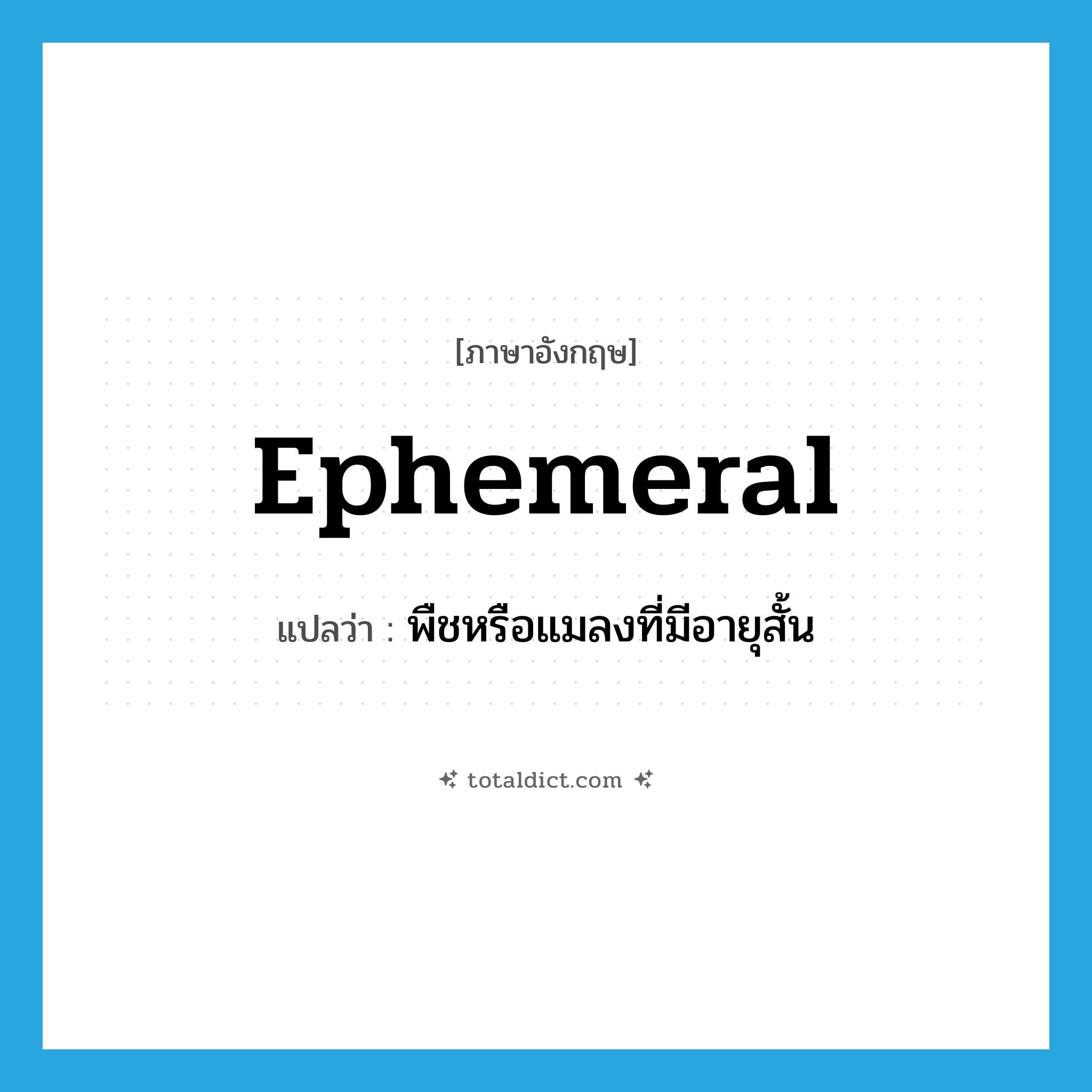 ephemeral แปลว่า?, คำศัพท์ภาษาอังกฤษ ephemeral แปลว่า พืชหรือแมลงที่มีอายุสั้น ประเภท N หมวด N
