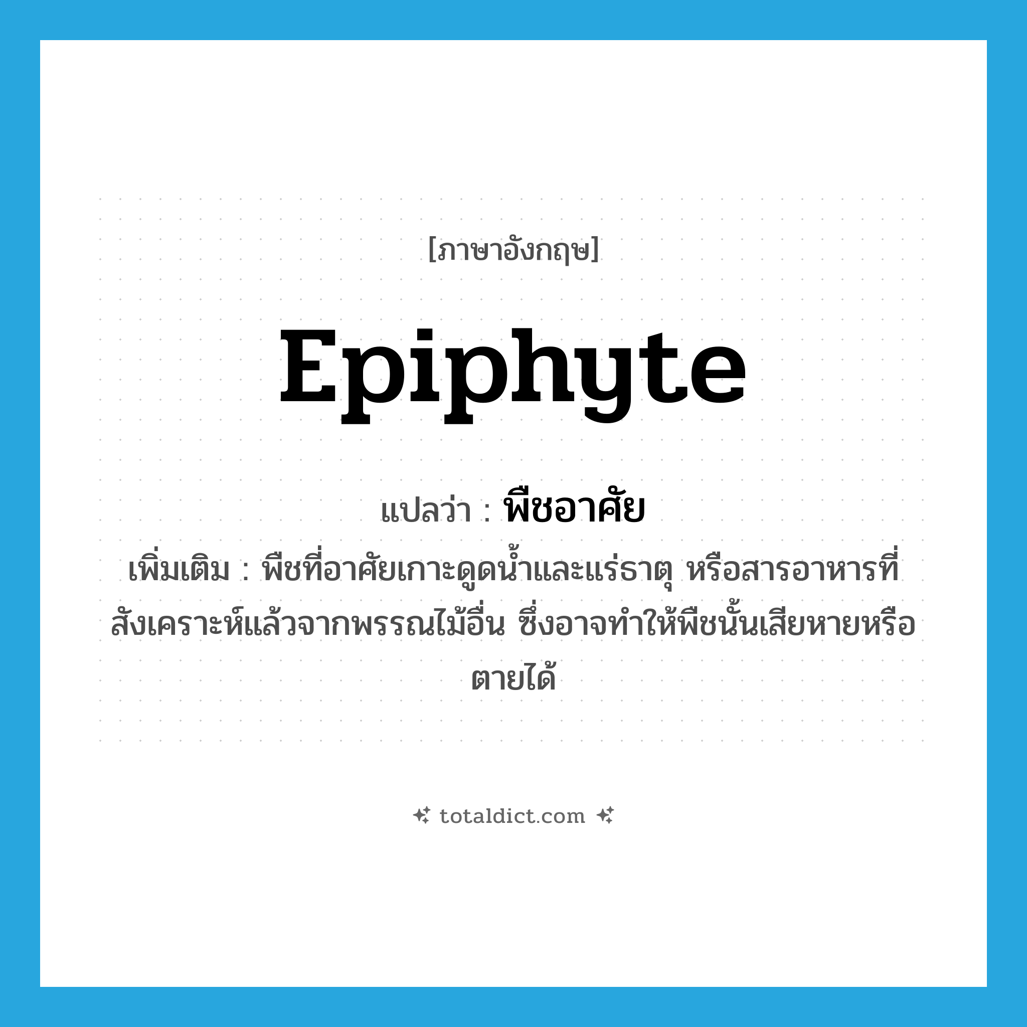 epiphyte แปลว่า?, คำศัพท์ภาษาอังกฤษ epiphyte แปลว่า พืชอาศัย ประเภท N เพิ่มเติม พืชที่อาศัยเกาะดูดน้ำและแร่ธาตุ หรือสารอาหารที่สังเคราะห์แล้วจากพรรณไม้อื่น ซึ่งอาจทำให้พืชนั้นเสียหายหรือตายได้ หมวด N