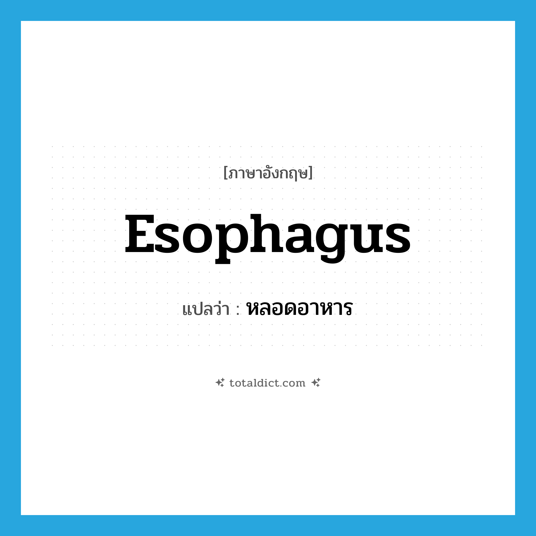 esophagus แปลว่า?, คำศัพท์ภาษาอังกฤษ esophagus แปลว่า หลอดอาหาร ประเภท N หมวด N