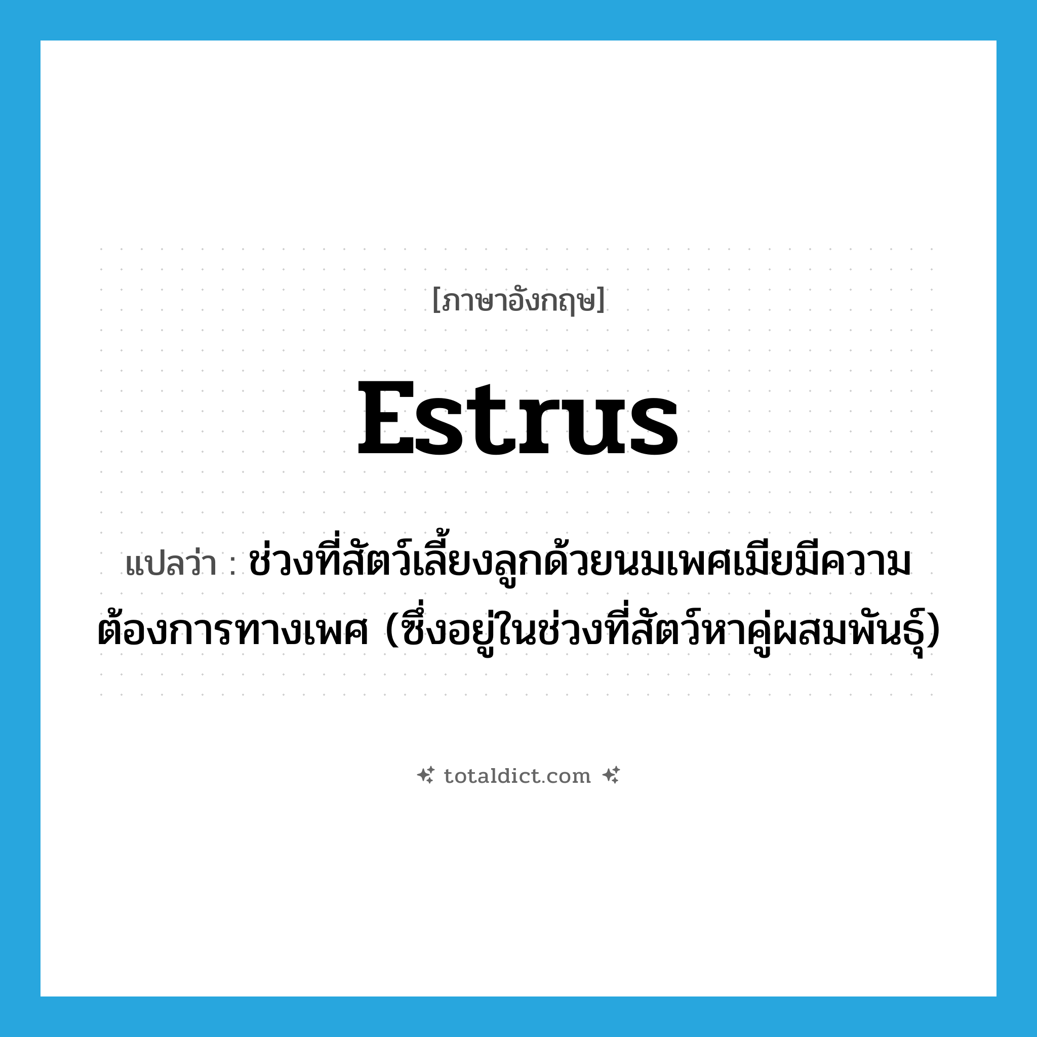 estrus แปลว่า?, คำศัพท์ภาษาอังกฤษ estrus แปลว่า ช่วงที่สัตว์เลี้ยงลูกด้วยนมเพศเมียมีความต้องการทางเพศ (ซึ่งอยู่ในช่วงที่สัตว์หาคู่ผสมพันธุ์) ประเภท N หมวด N