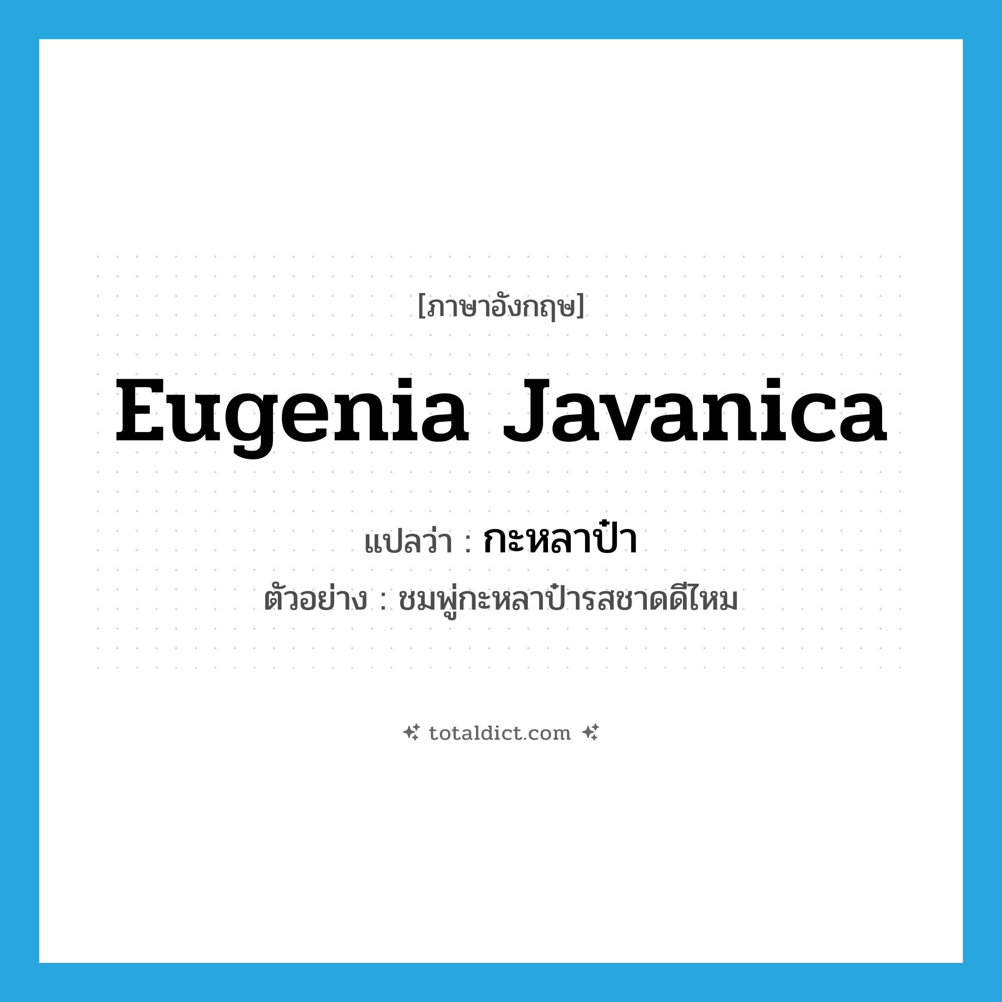 Eugenia javanica แปลว่า?, คำศัพท์ภาษาอังกฤษ Eugenia javanica แปลว่า กะหลาป๋า ประเภท N ตัวอย่าง ชมพู่กะหลาป๋ารสชาดดีไหม หมวด N