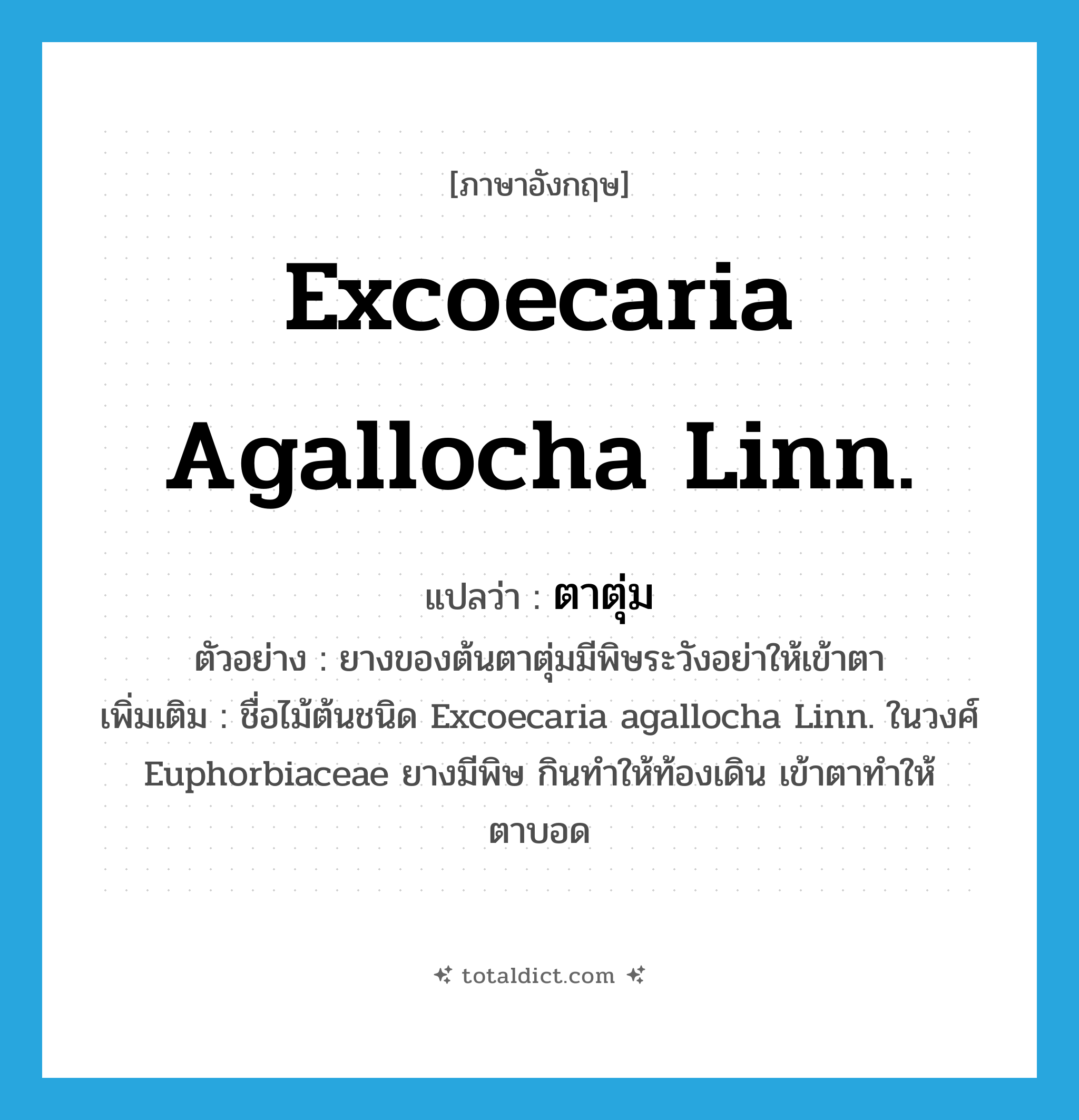 ตาตุ่ม ภาษาอังกฤษ?, คำศัพท์ภาษาอังกฤษ ตาตุ่ม แปลว่า Excoecaria agallocha Linn. ประเภท N ตัวอย่าง ยางของต้นตาตุ่มมีพิษระวังอย่าให้เข้าตา เพิ่มเติม ชื่อไม้ต้นชนิด Excoecaria agallocha Linn. ในวงศ์ Euphorbiaceae ยางมีพิษ กินทำให้ท้องเดิน เข้าตาทำให้ตาบอด หมวด N