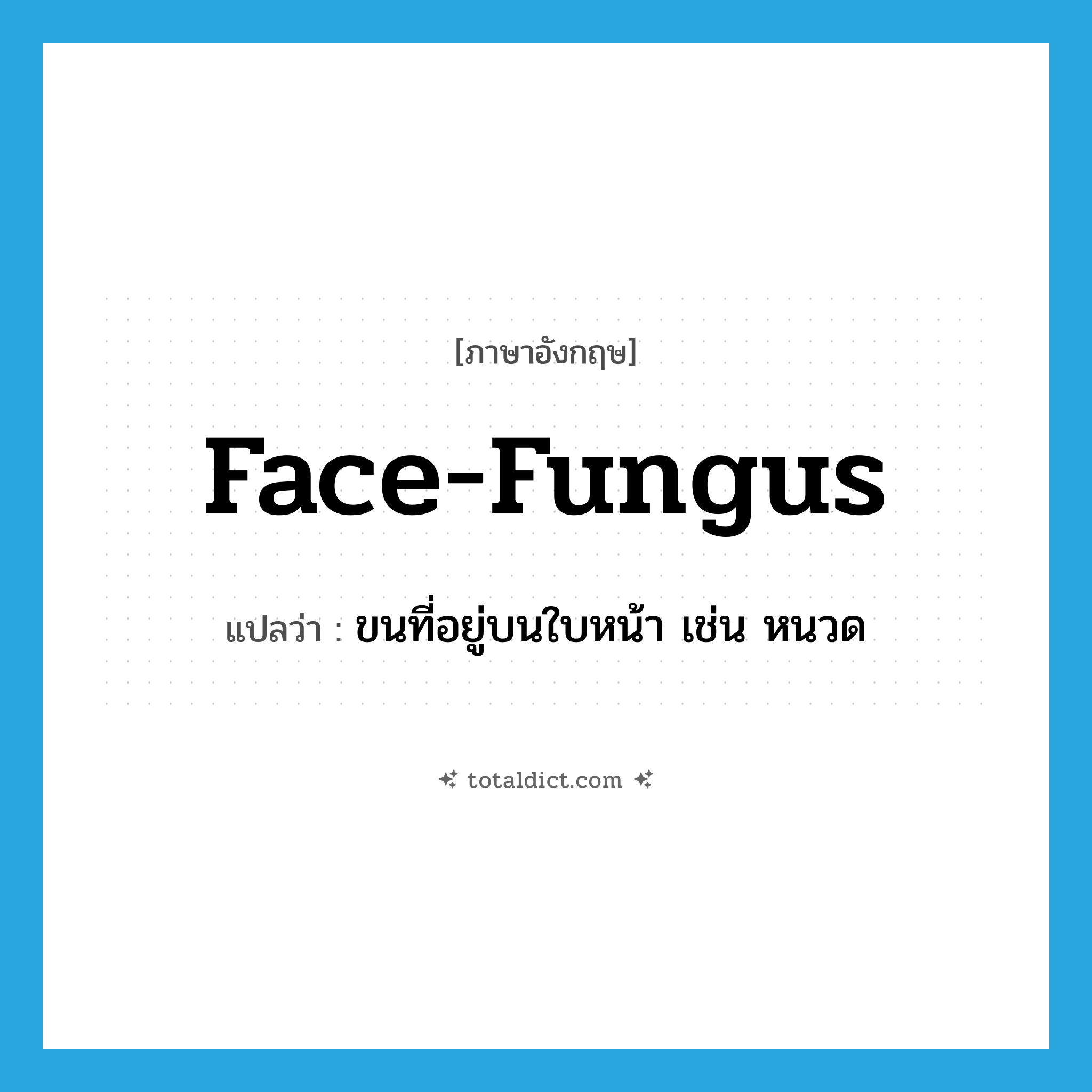 (face) fungus แปลว่า?, คำศัพท์ภาษาอังกฤษ face-fungus แปลว่า ขนที่อยู่บนใบหน้า เช่น หนวด ประเภท SL หมวด SL