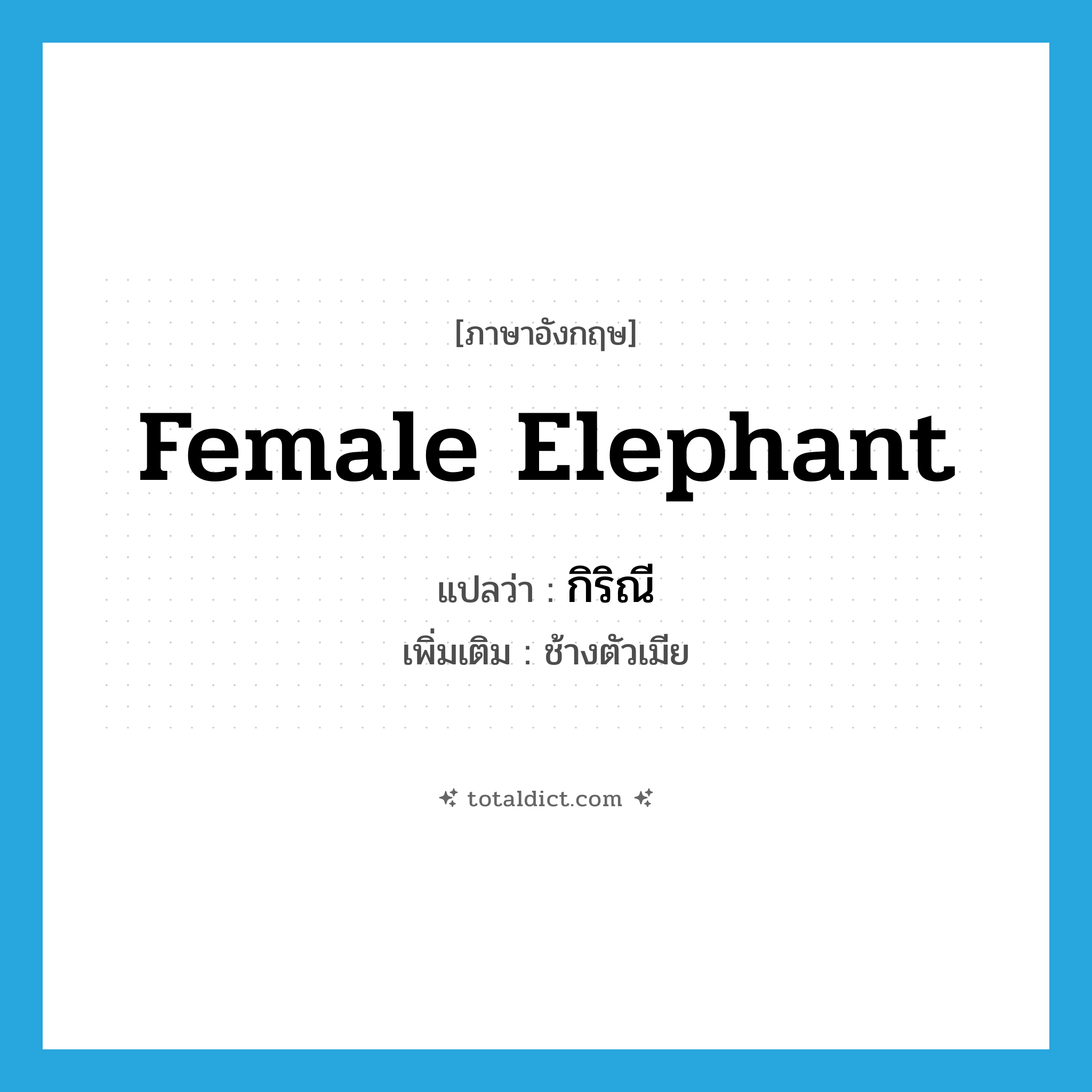 female elephant แปลว่า?, คำศัพท์ภาษาอังกฤษ female elephant แปลว่า กิริณี ประเภท N เพิ่มเติม ช้างตัวเมีย หมวด N