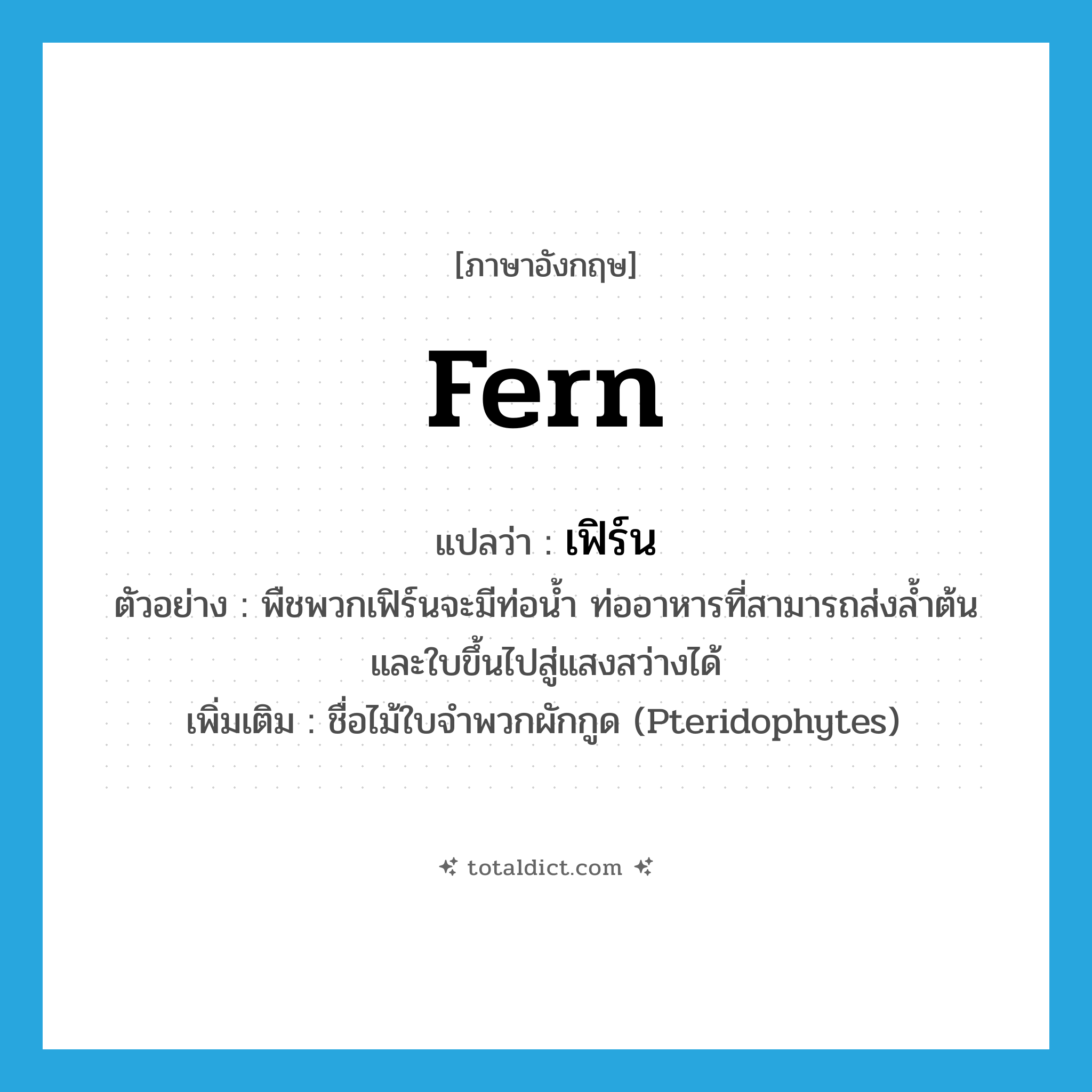 fern แปลว่า?, คำศัพท์ภาษาอังกฤษ fern แปลว่า เฟิร์น ประเภท N ตัวอย่าง พืชพวกเฟิร์นจะมีท่อน้ำ ท่ออาหารที่สามารถส่งล้ำต้น และใบขึ้นไปสู่แสงสว่างได้ เพิ่มเติม ชื่อไม้ใบจำพวกผักกูด (Pteridophytes) หมวด N