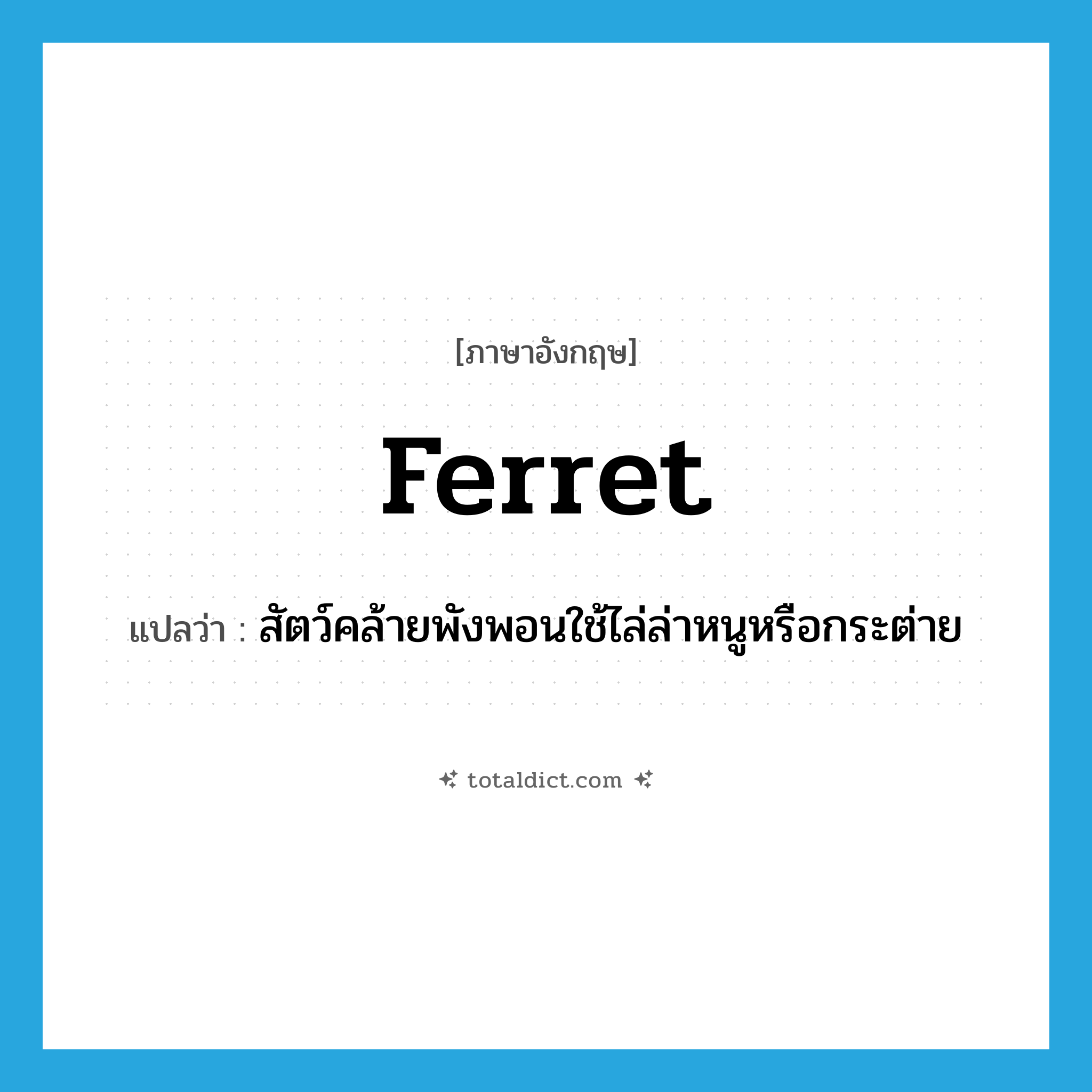 ferret แปลว่า?, คำศัพท์ภาษาอังกฤษ ferret แปลว่า สัตว์คล้ายพังพอนใช้ไล่ล่าหนูหรือกระต่าย ประเภท N หมวด N