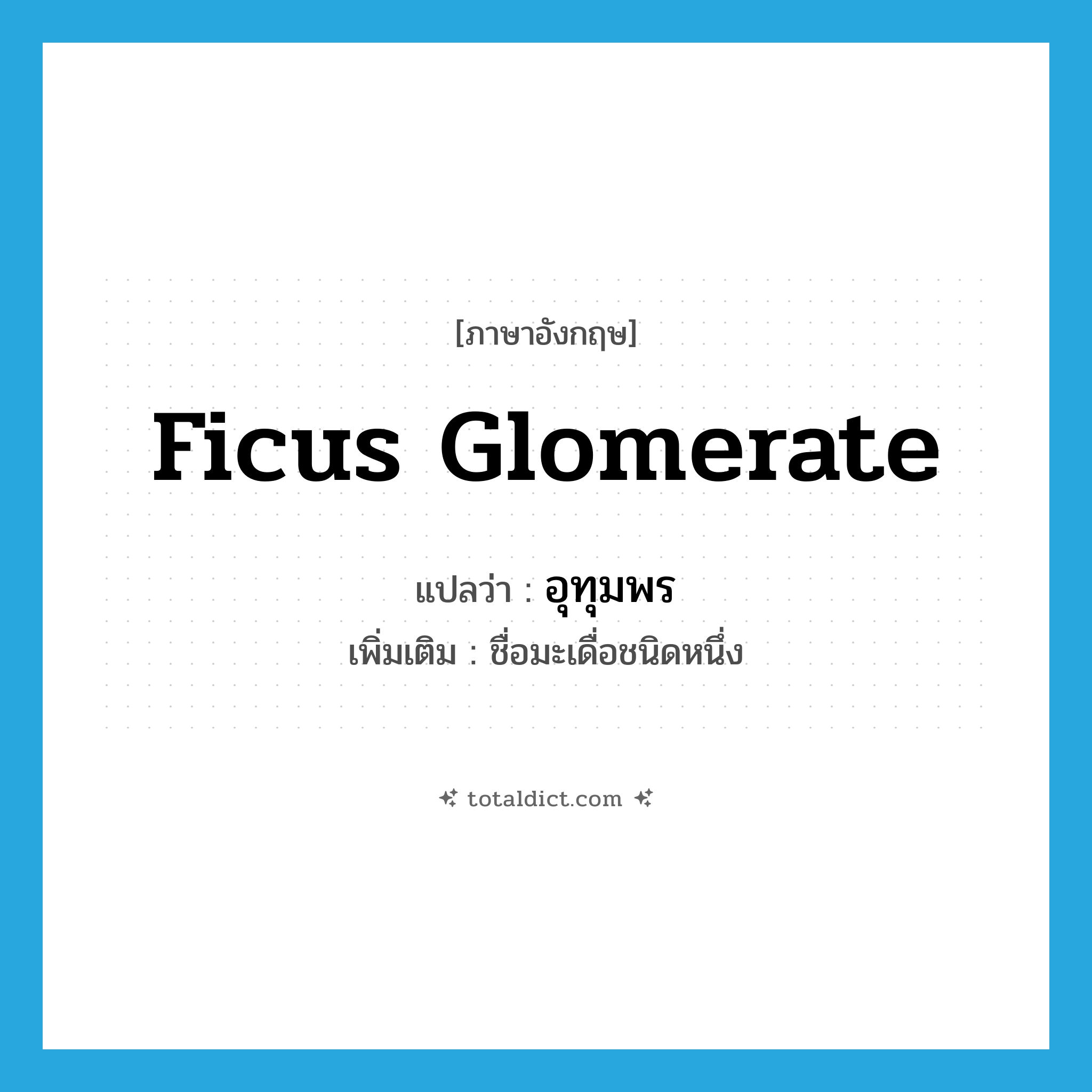 Ficus glomerate แปลว่า?, คำศัพท์ภาษาอังกฤษ Ficus glomerate แปลว่า อุทุมพร ประเภท N เพิ่มเติม ชื่อมะเดื่อชนิดหนึ่ง หมวด N