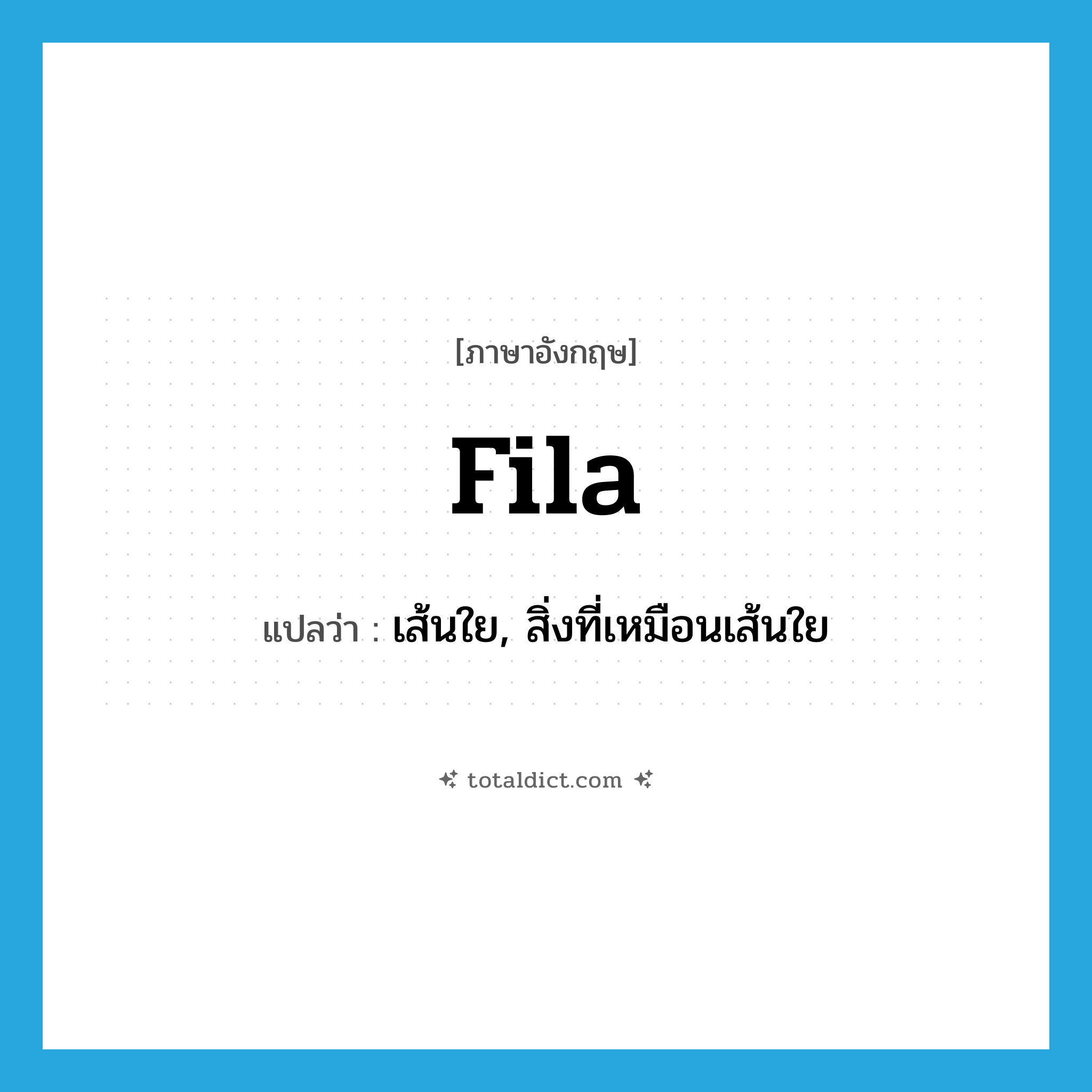 fila แปลว่า?, คำศัพท์ภาษาอังกฤษ fila แปลว่า เส้นใย, สิ่งที่เหมือนเส้นใย ประเภท N หมวด N