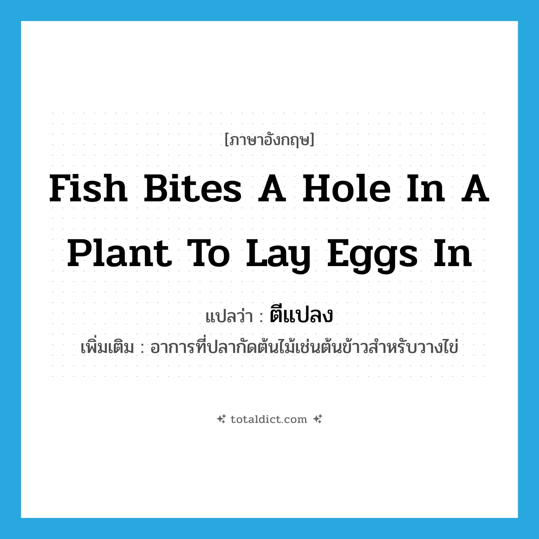 fish bites a hole in a plant to lay eggs in แปลว่า?, คำศัพท์ภาษาอังกฤษ fish bites a hole in a plant to lay eggs in แปลว่า ตีแปลง ประเภท V เพิ่มเติม อาการที่ปลากัดต้นไม้เช่นต้นข้าวสำหรับวางไข่ หมวด V